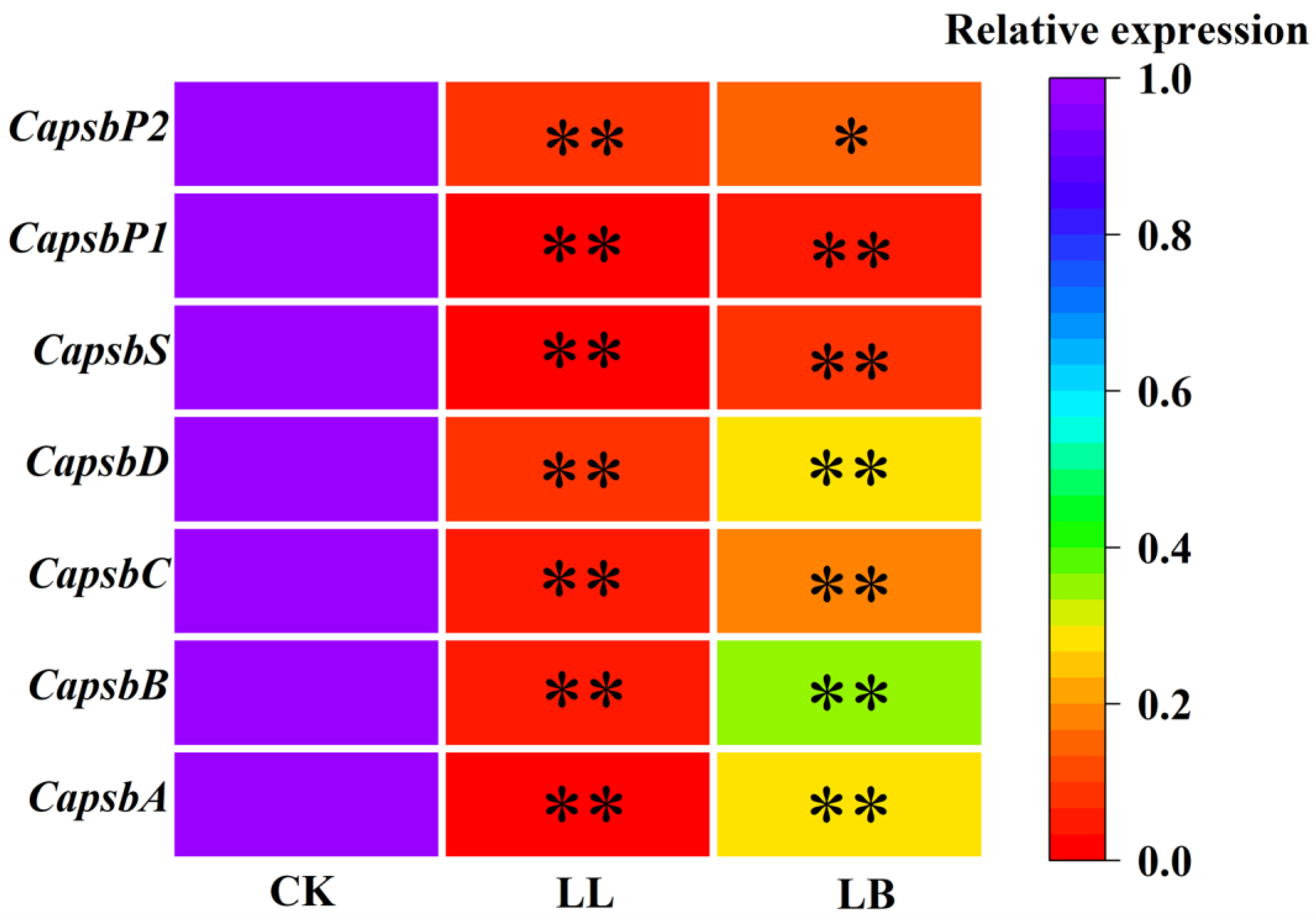 Plants 12 02563 g005