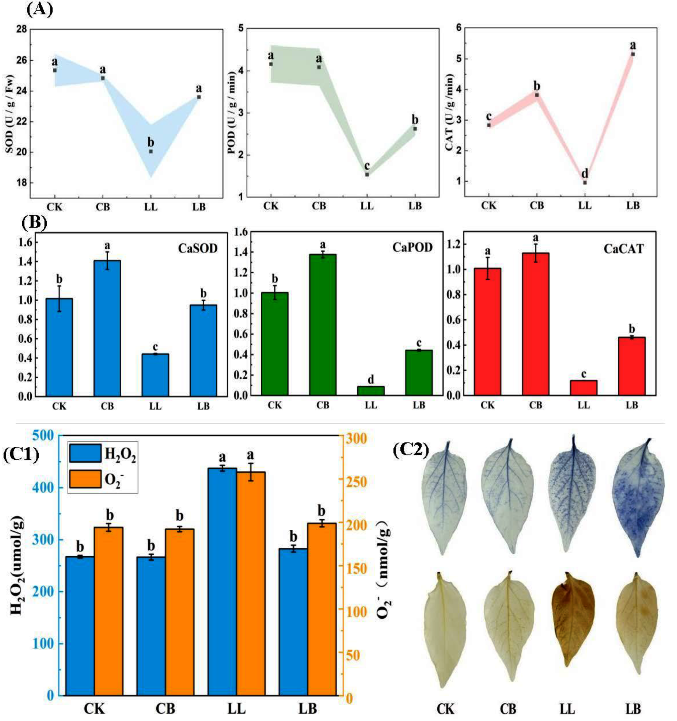 Plants 12 02563 g007