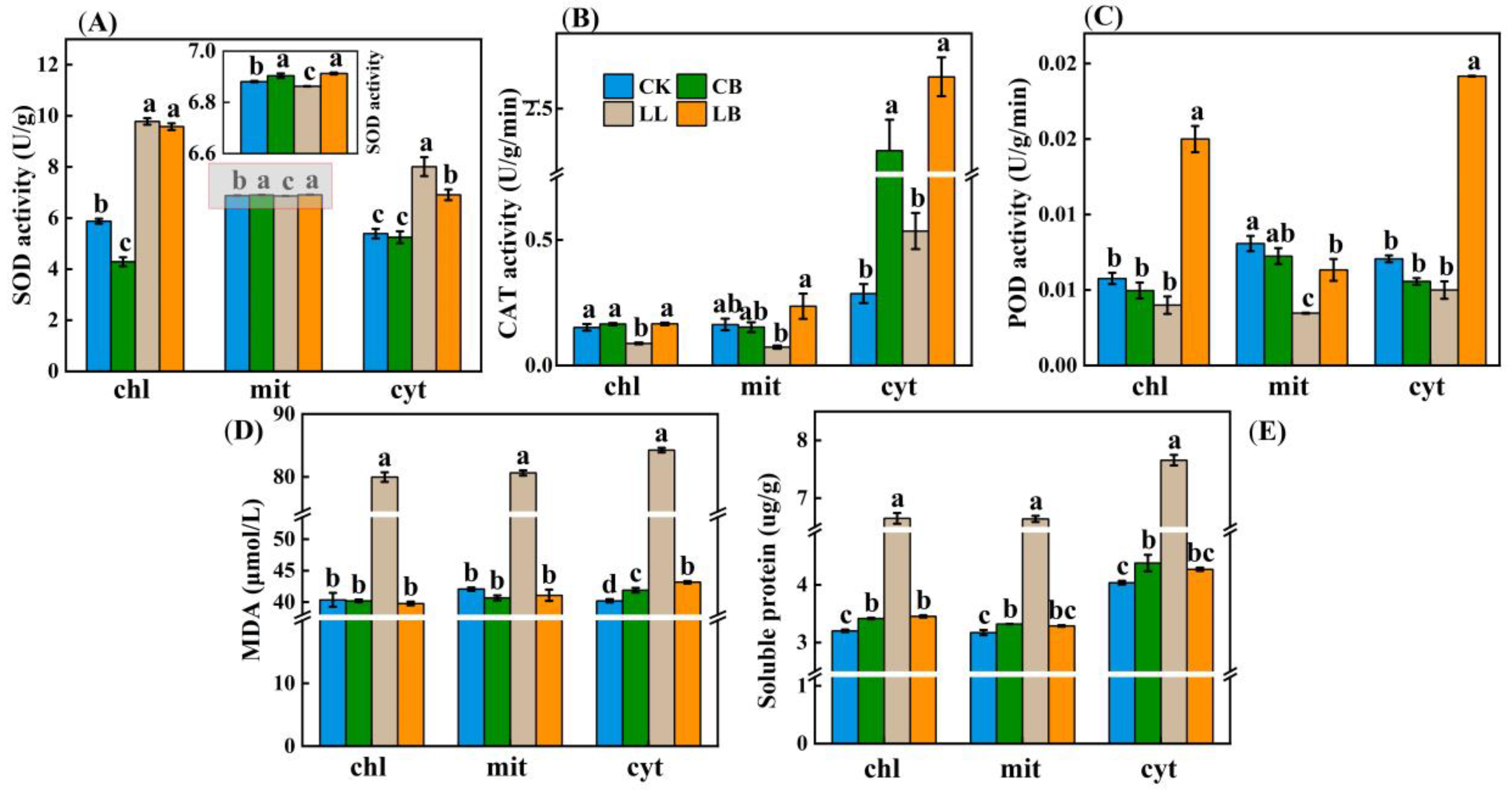 Plants 12 02563 g008