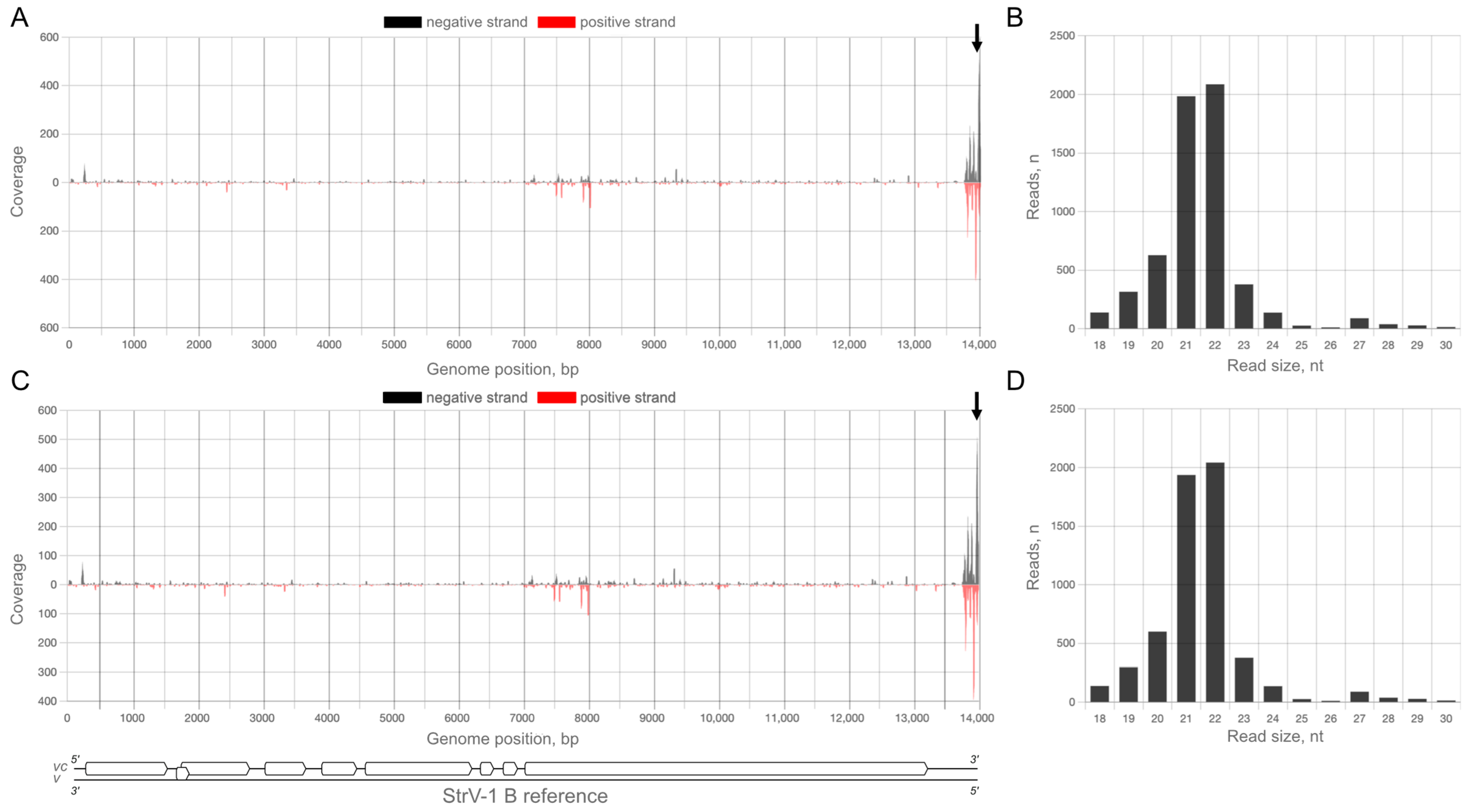 Plants 12 02564 g004