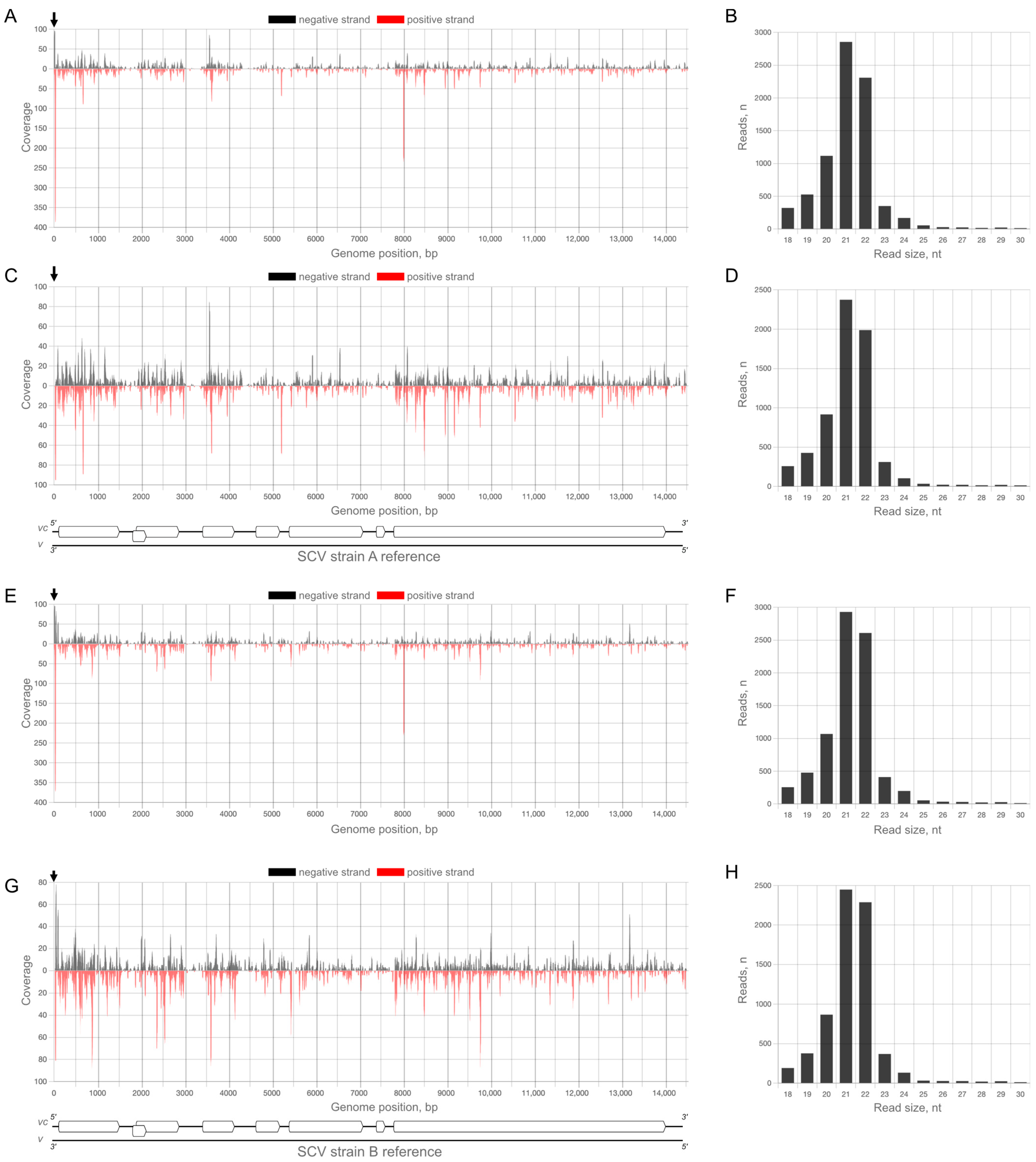 Plants 12 02564 g005