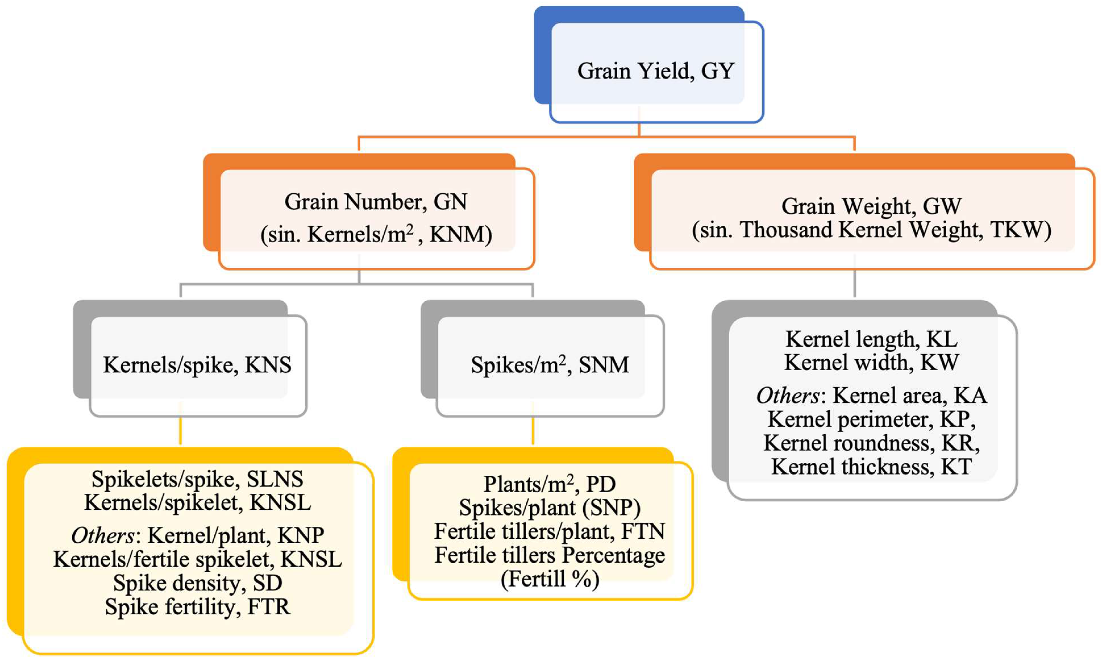 Plants 12 02571 g001