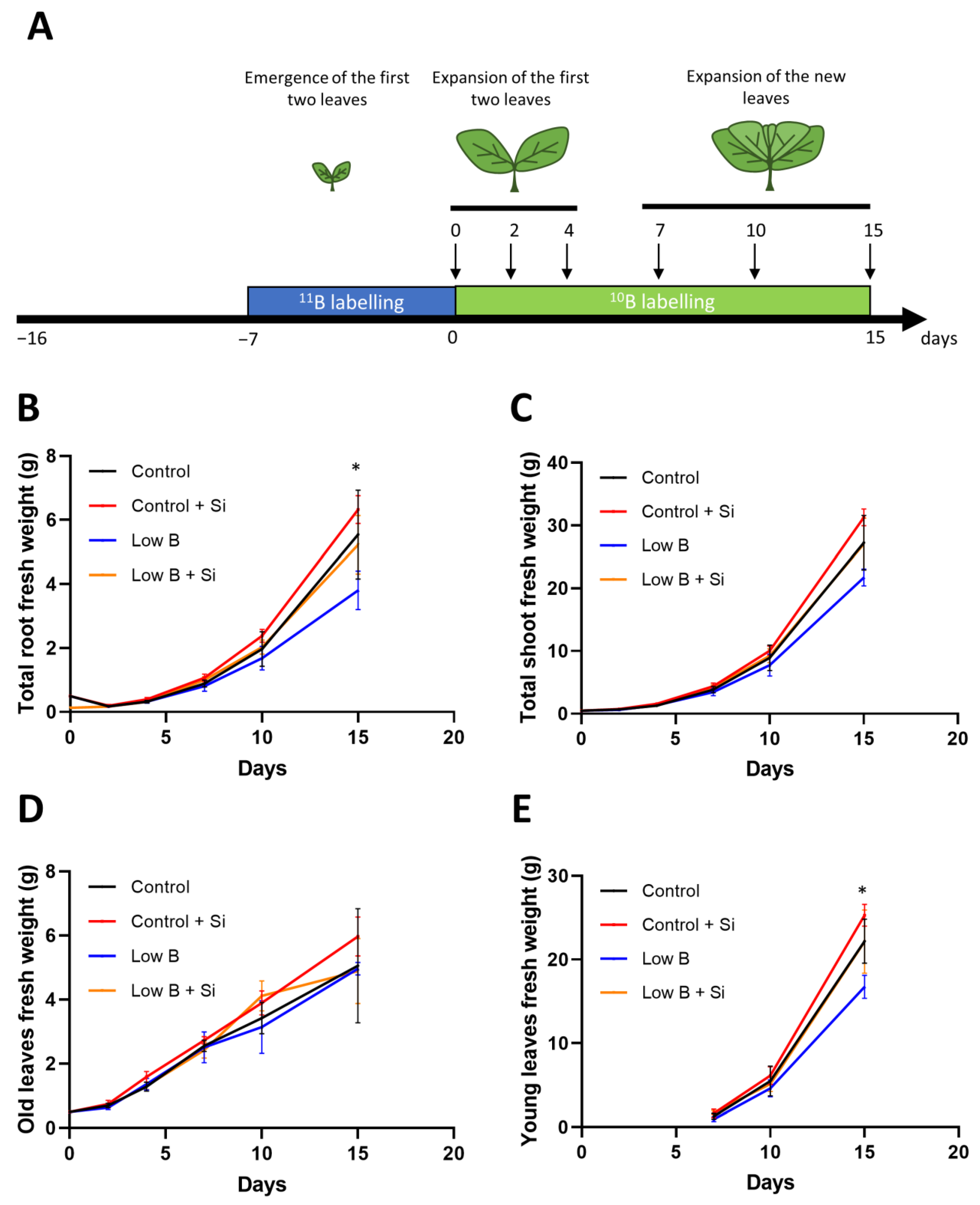 Plants 12 02574 g003 Plants 12 02574 g003