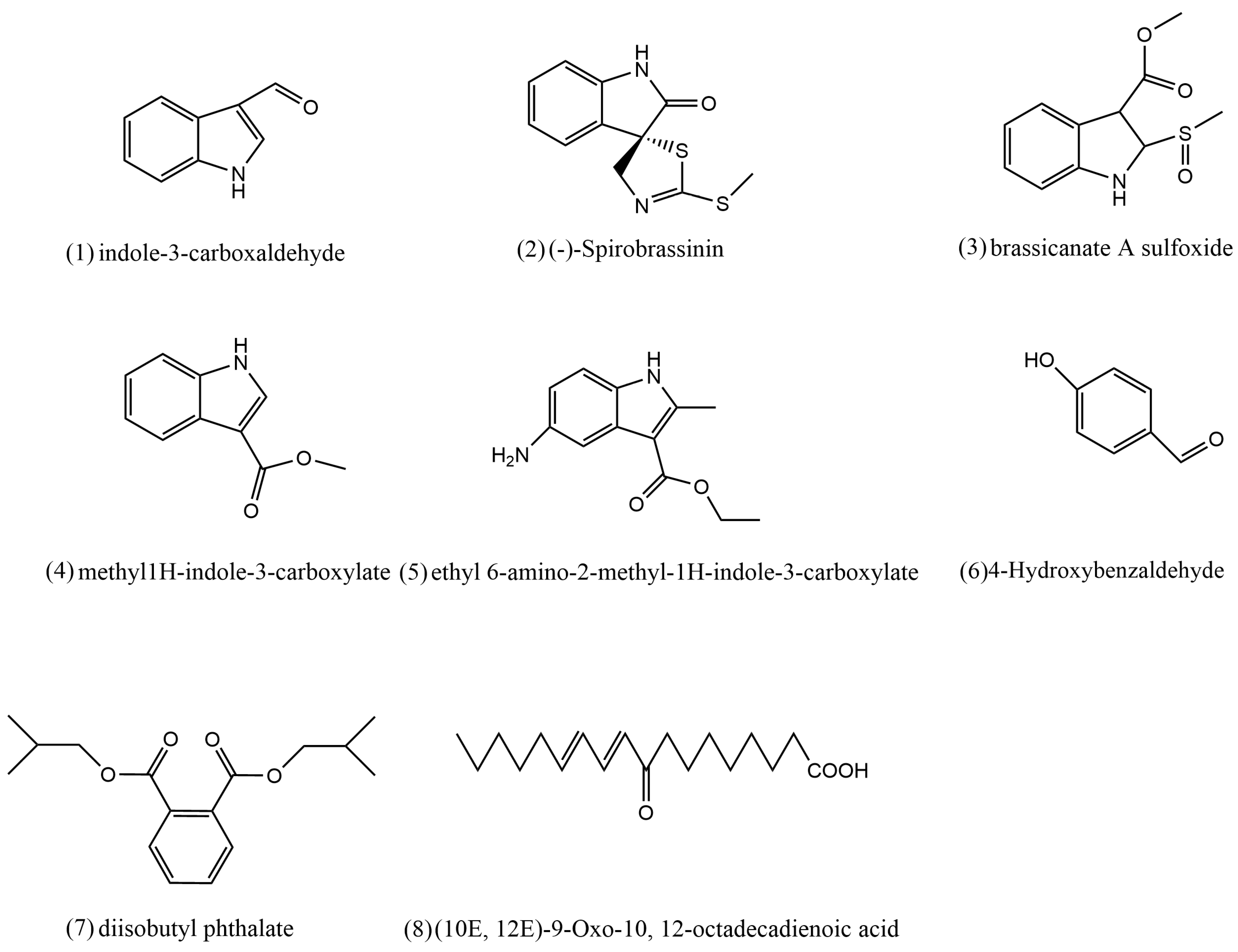 Plants 12 02576 g004