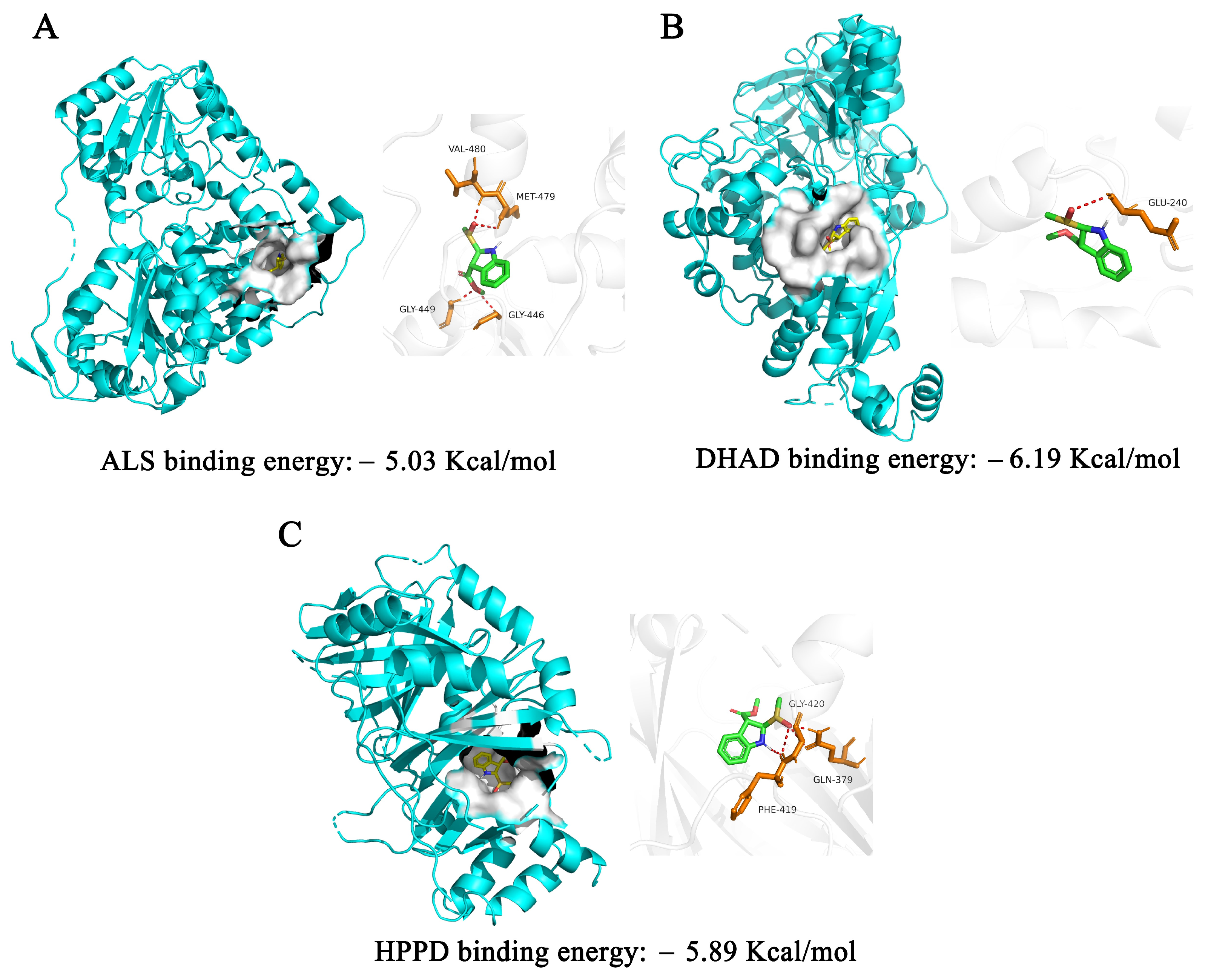 Plants 12 02576 g005