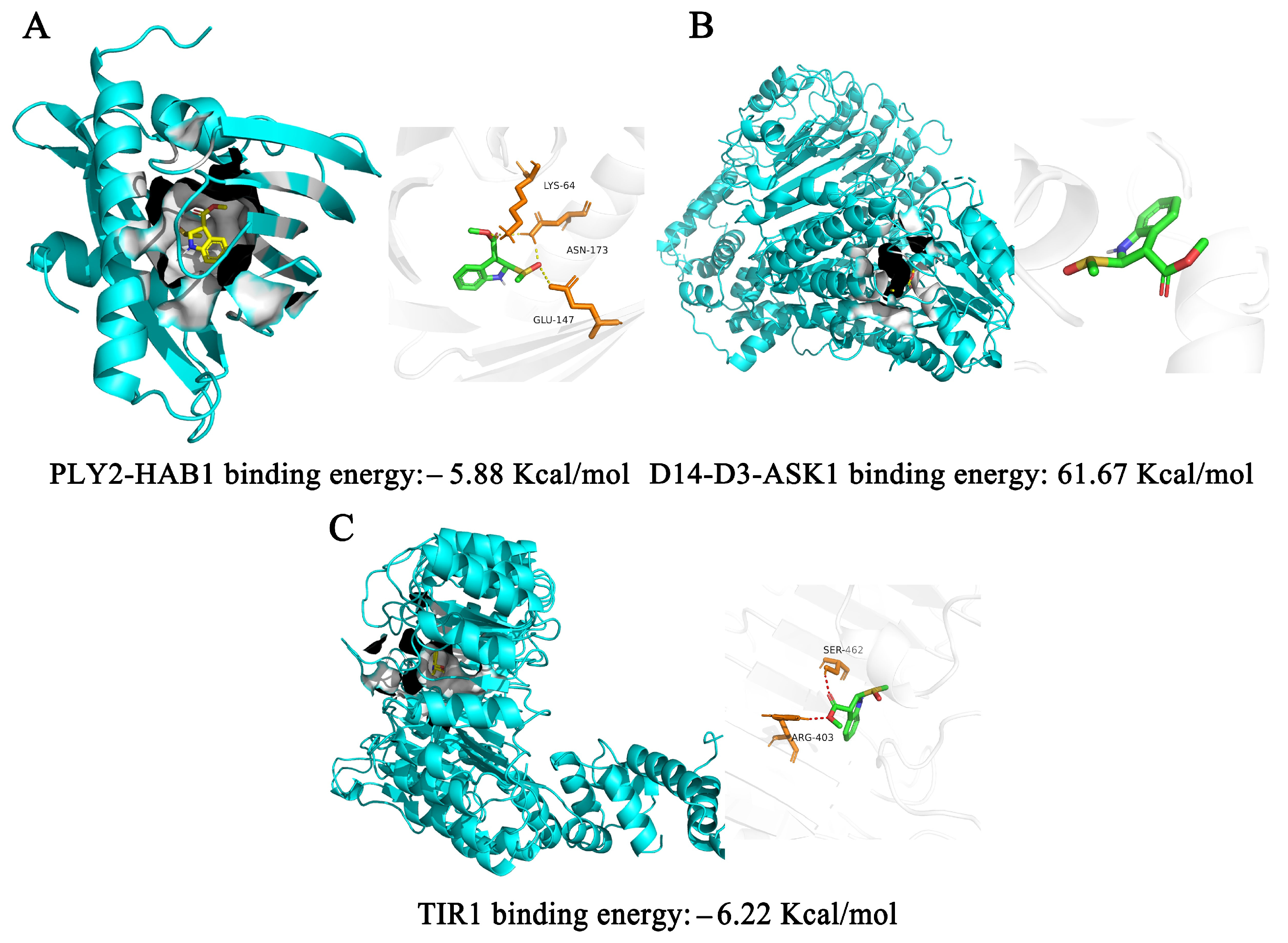 Plants 12 02576 g006