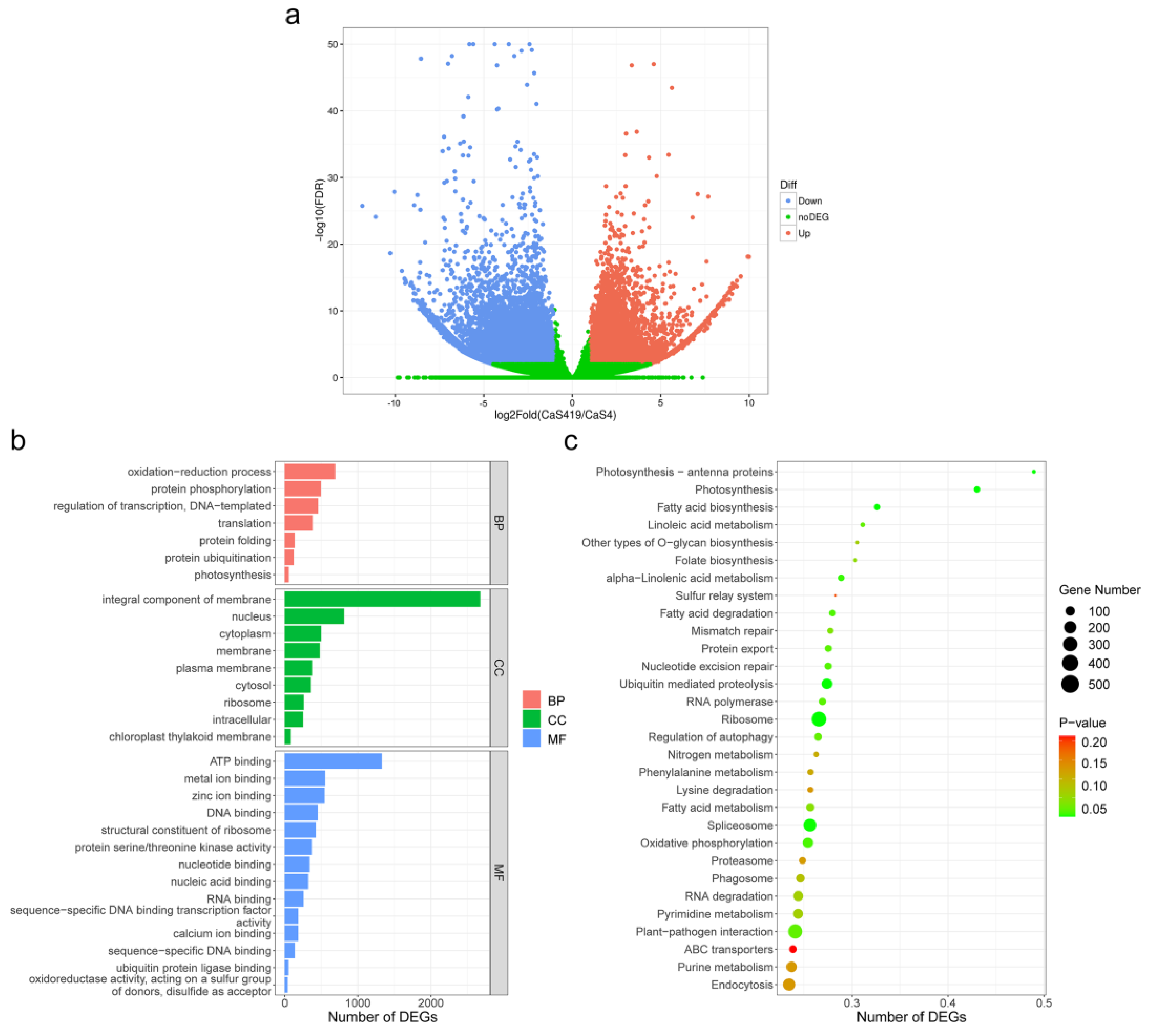Plants 12 02580 g003 Plants 12 02580 g003