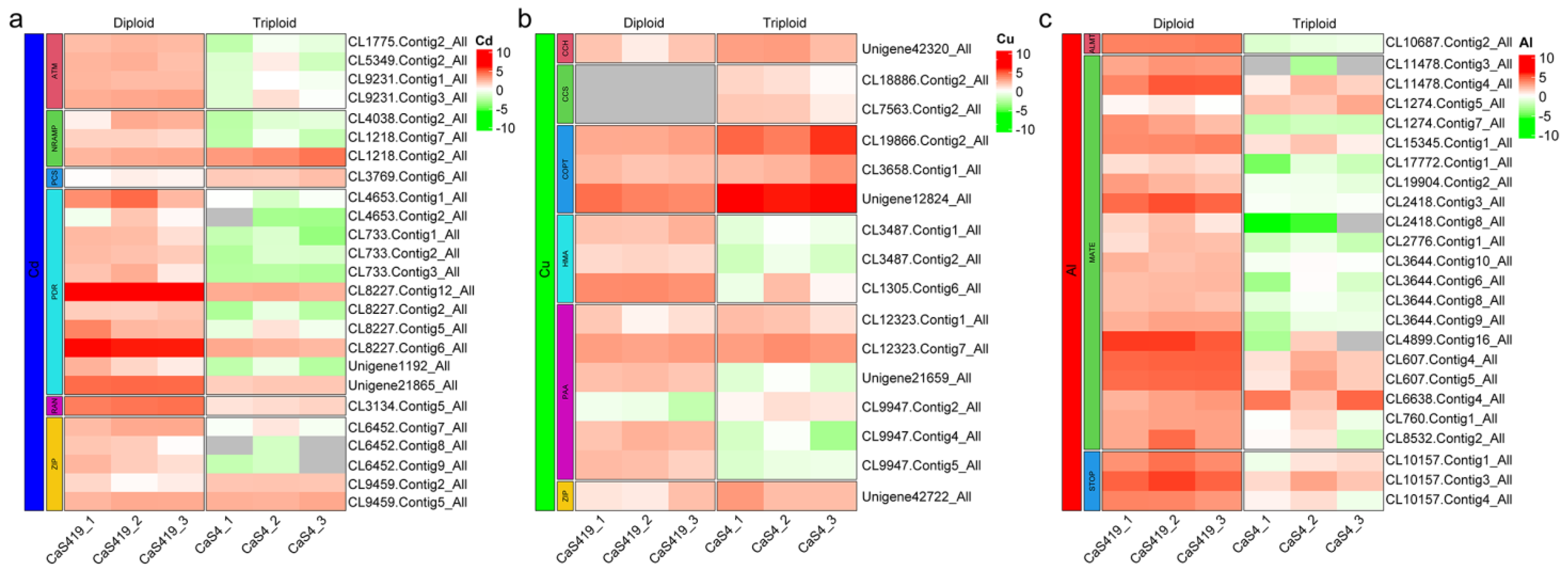 Plants 12 02580 g004 Plants 12 02580 g004