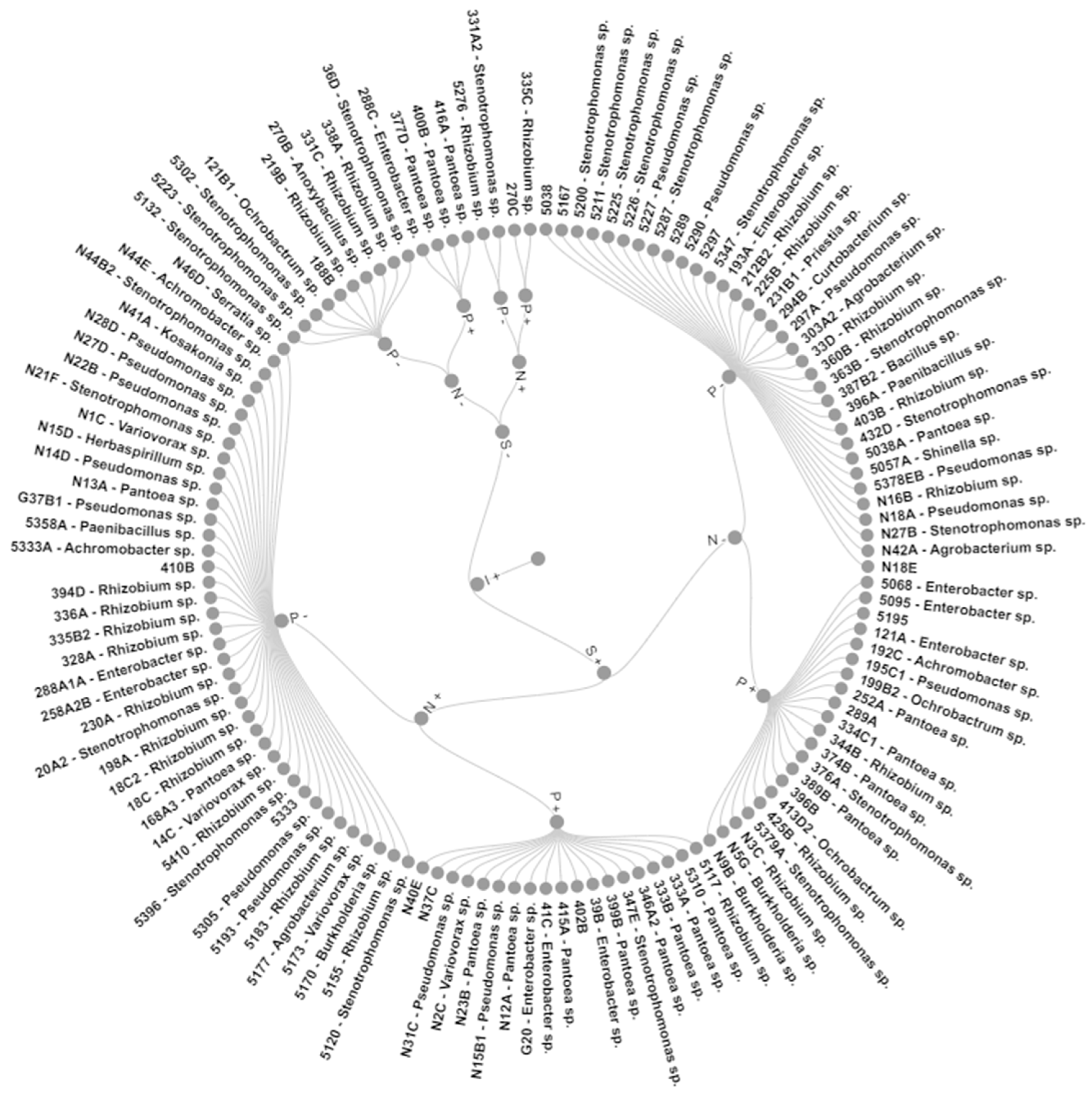 Plants 12 02589 g002 Plants 12 02589 g002