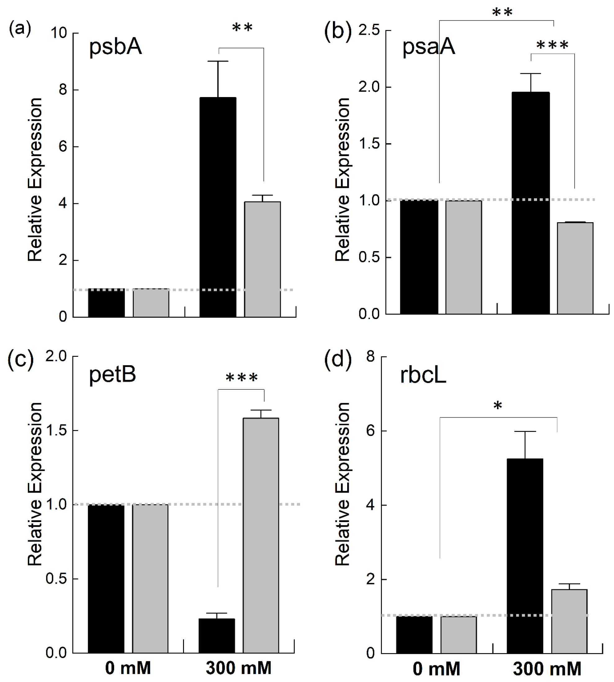 Plants 12 02590 g008