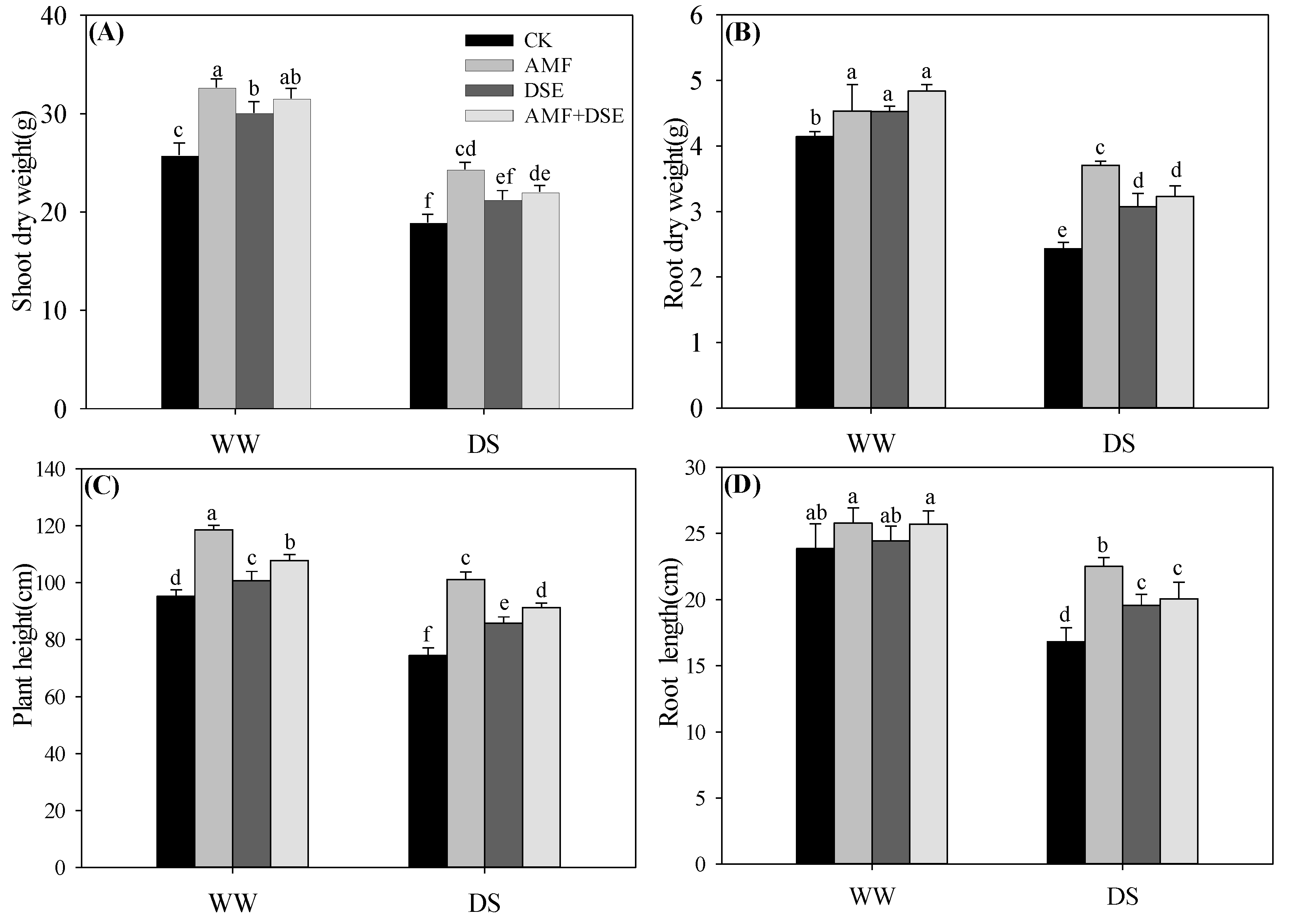 Plants 12 02596 g001