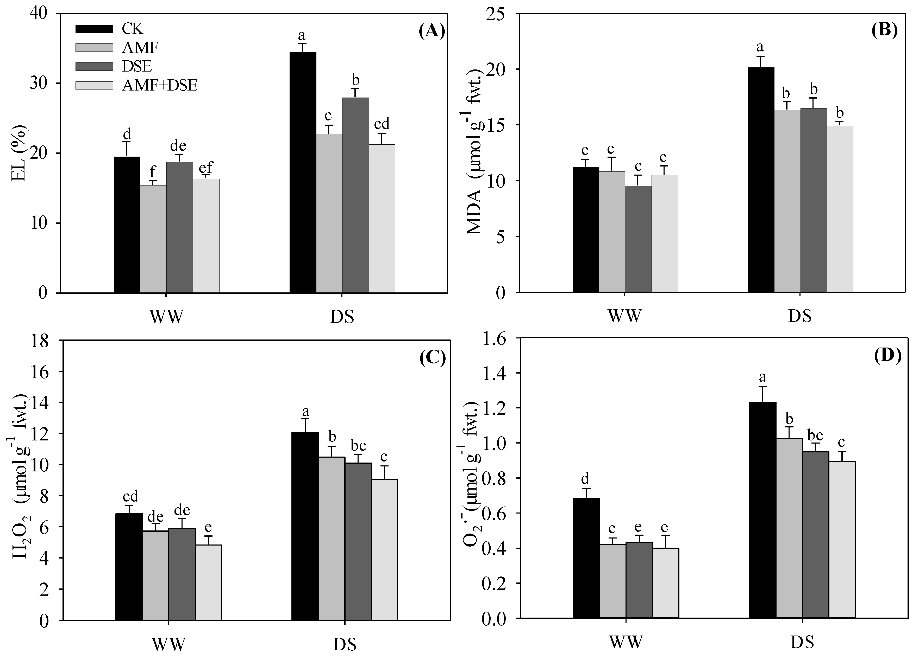 Plants 12 02596 g002