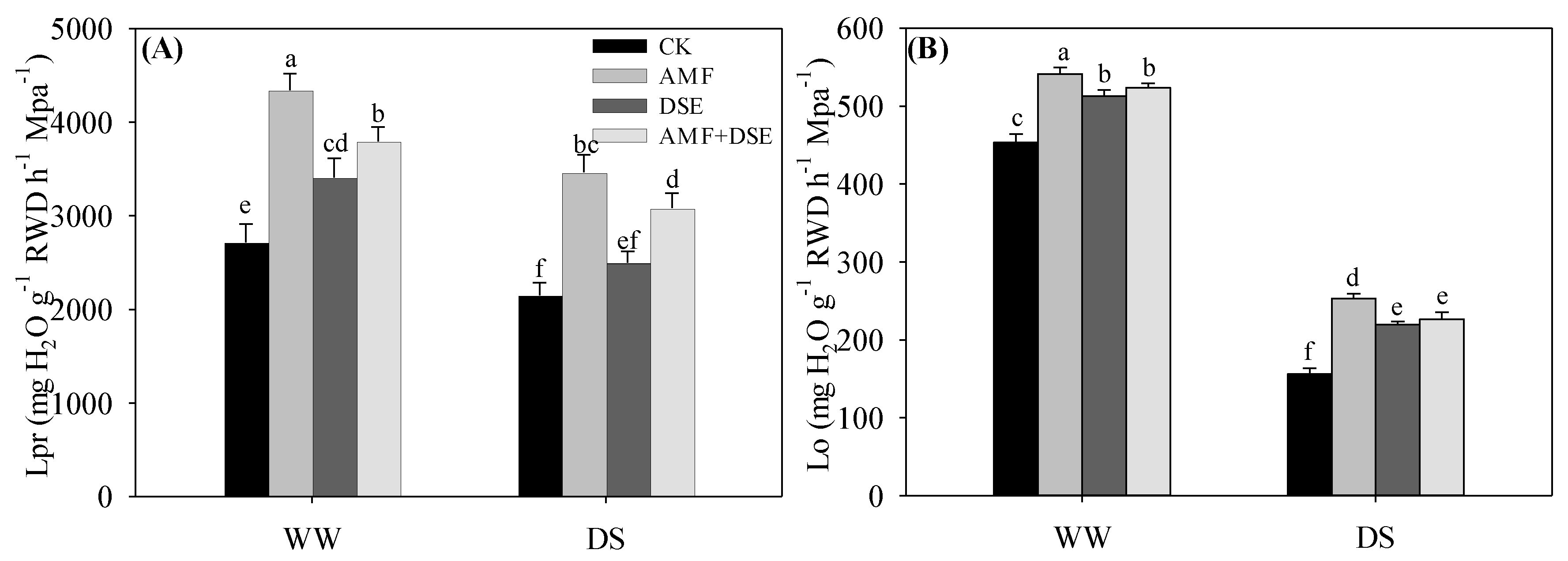Plants 12 02596 g003