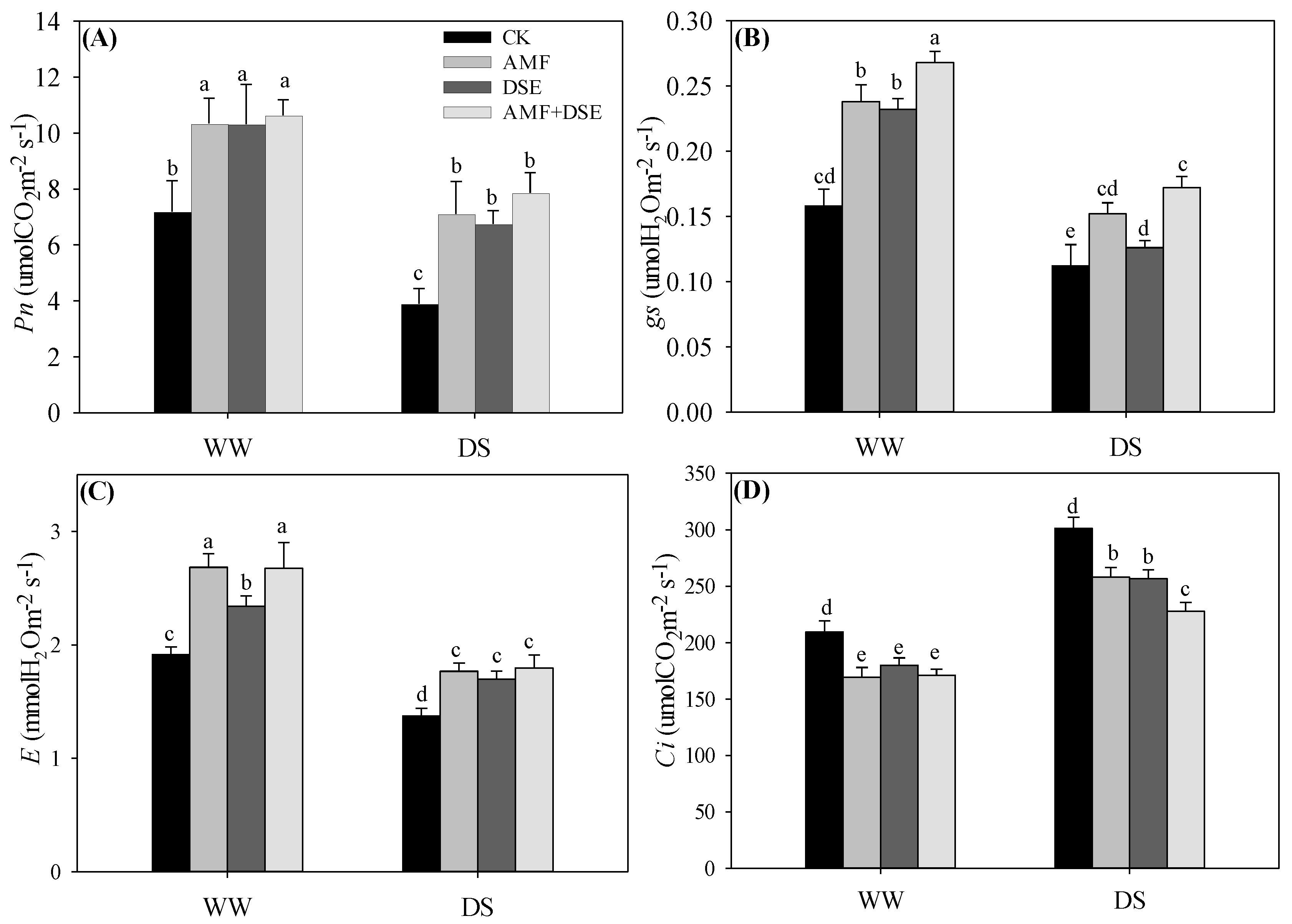 Plants 12 02596 g004