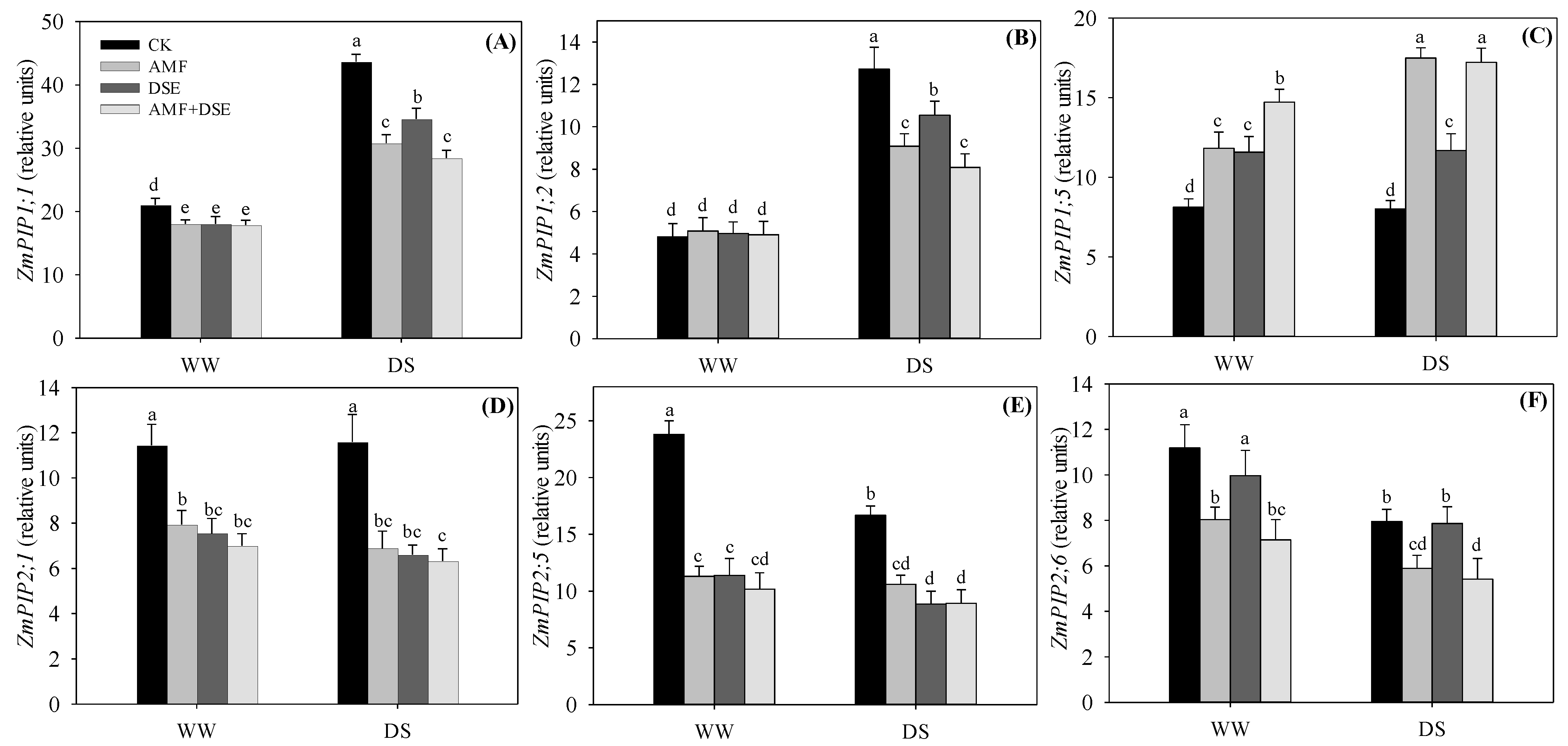 Plants 12 02596 g005