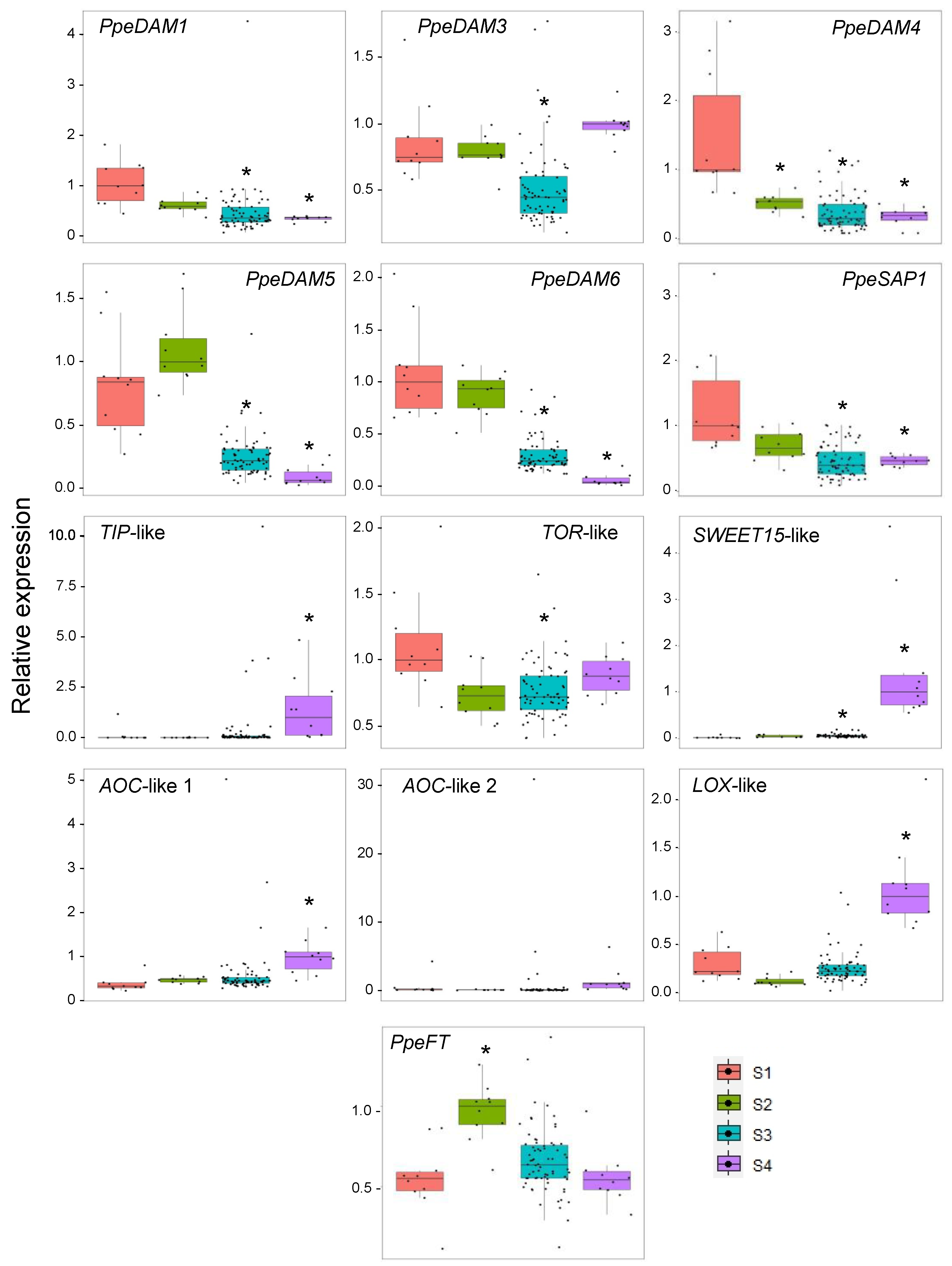 Plants 12 02601 g002