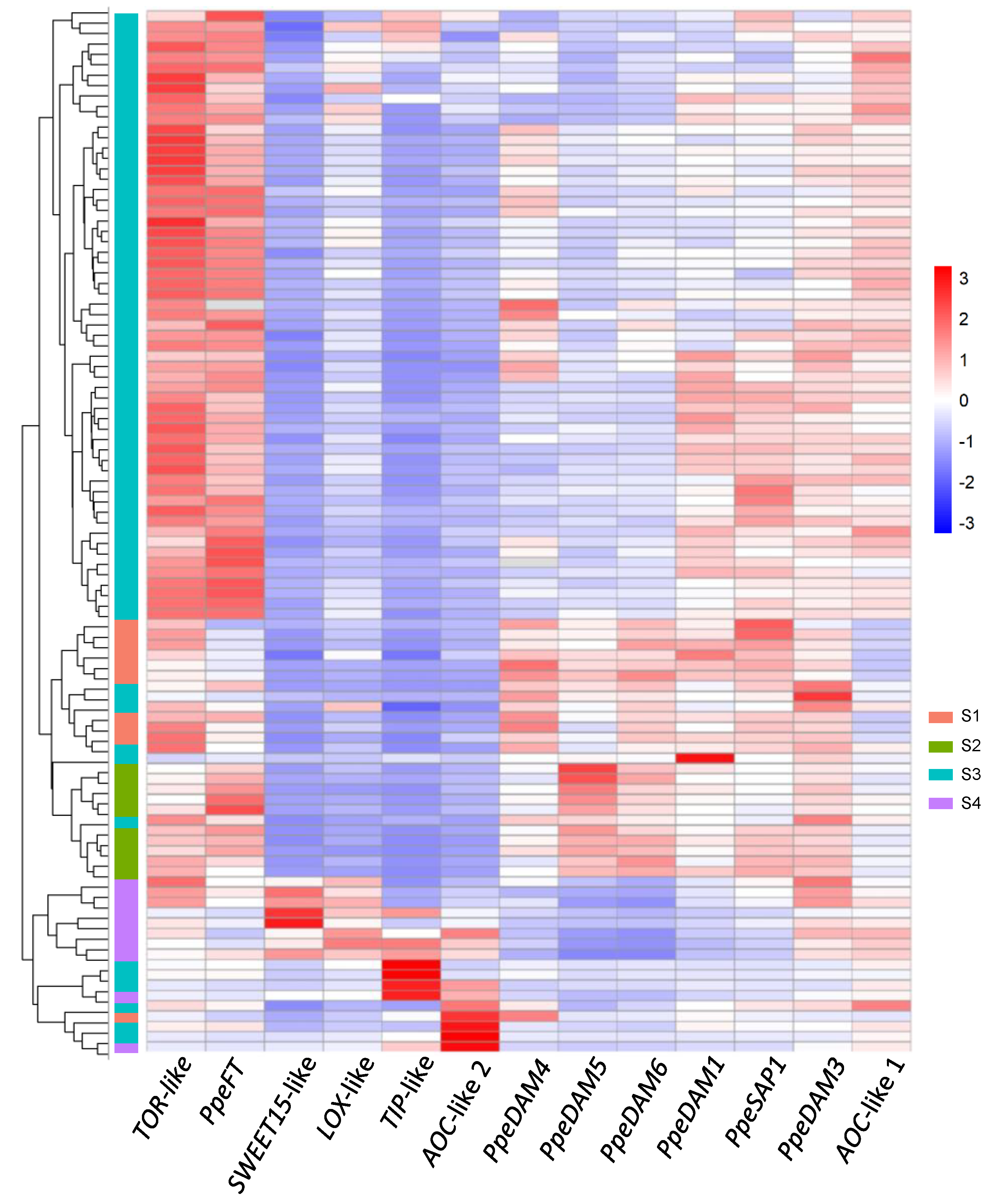 Plants 12 02601 g004