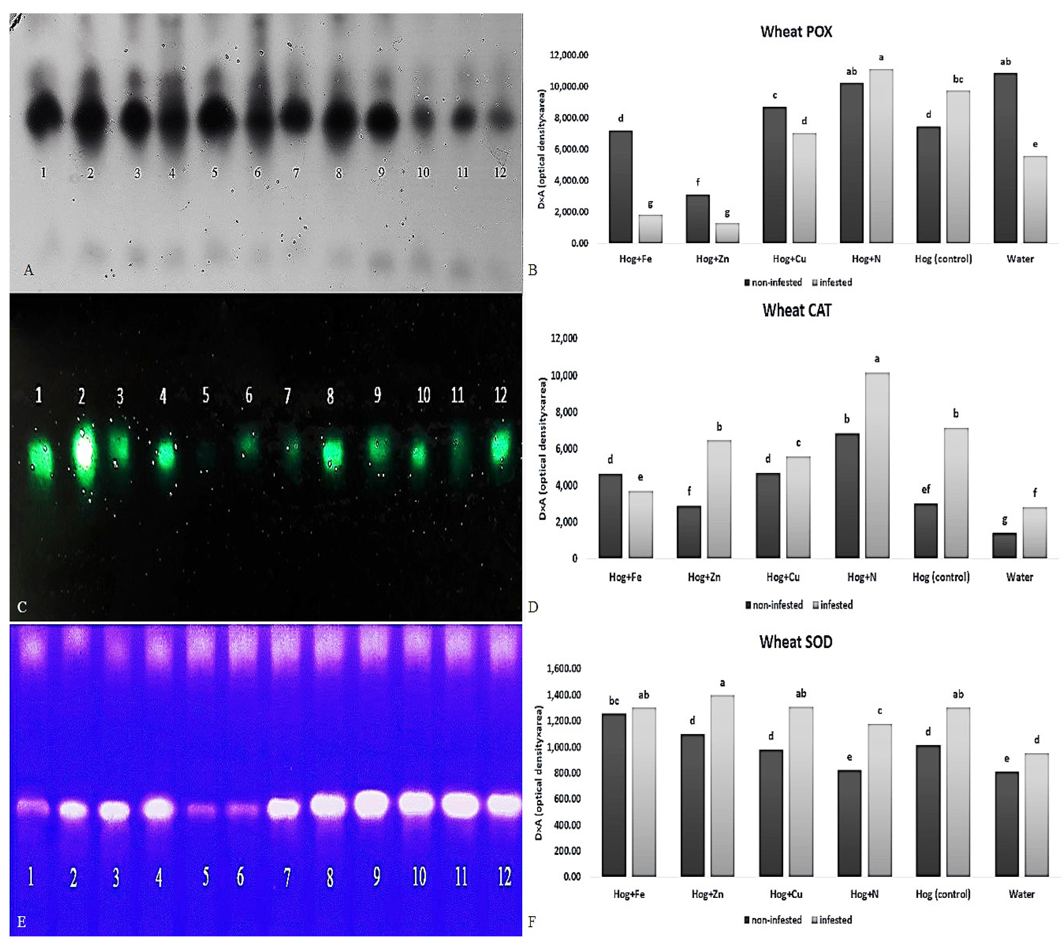 Plants 12 02602 g005