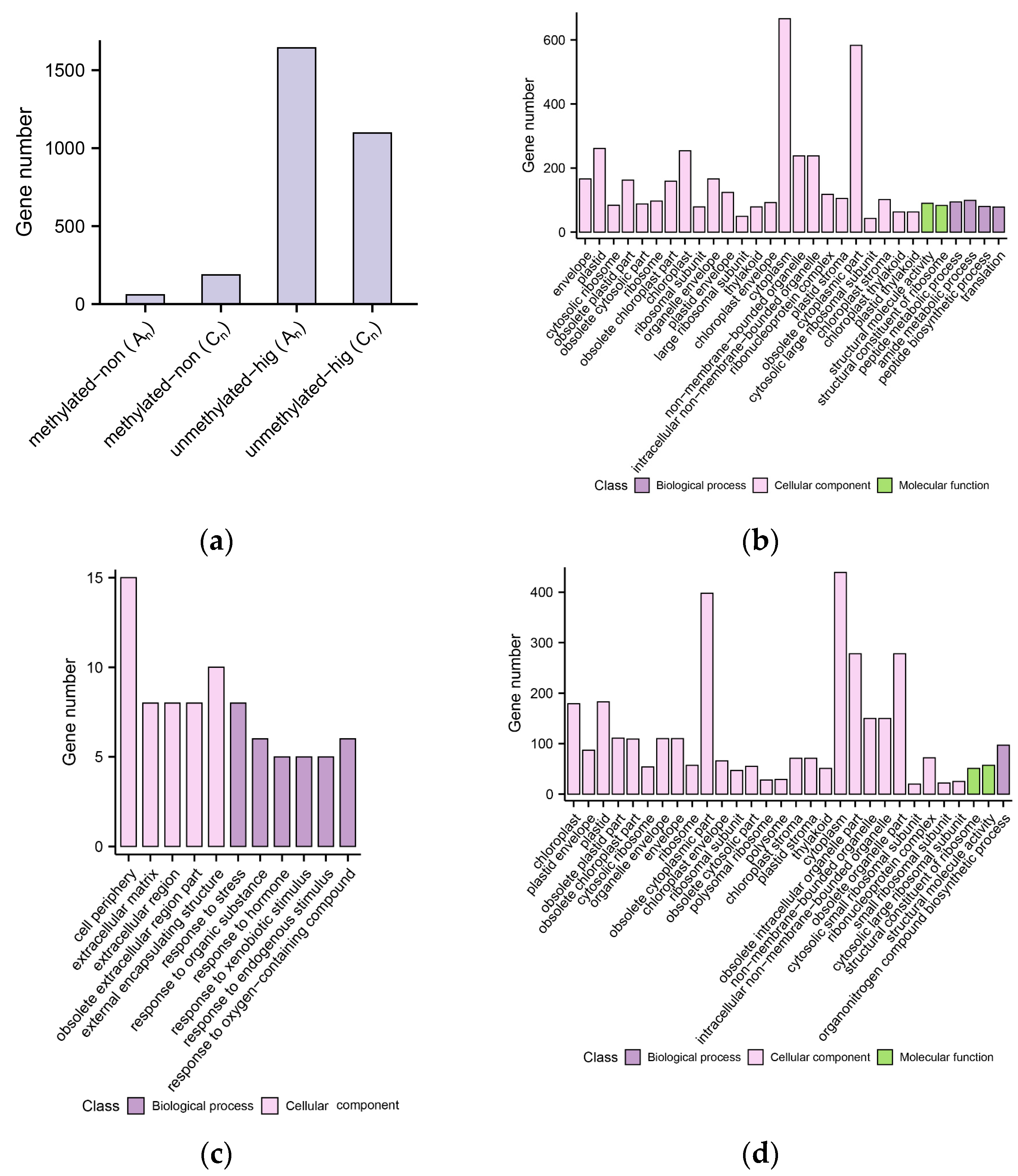 Plants 12 02608 g008