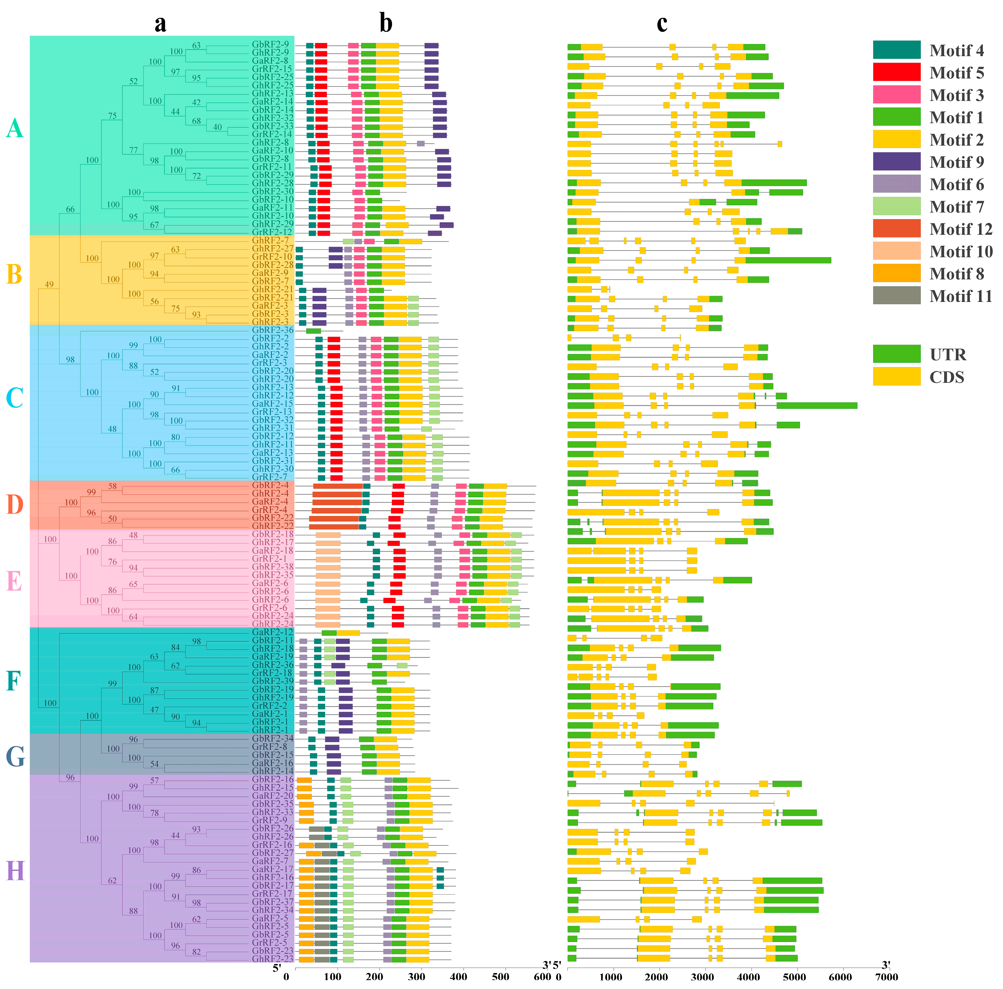 Plants 12 02613 g002