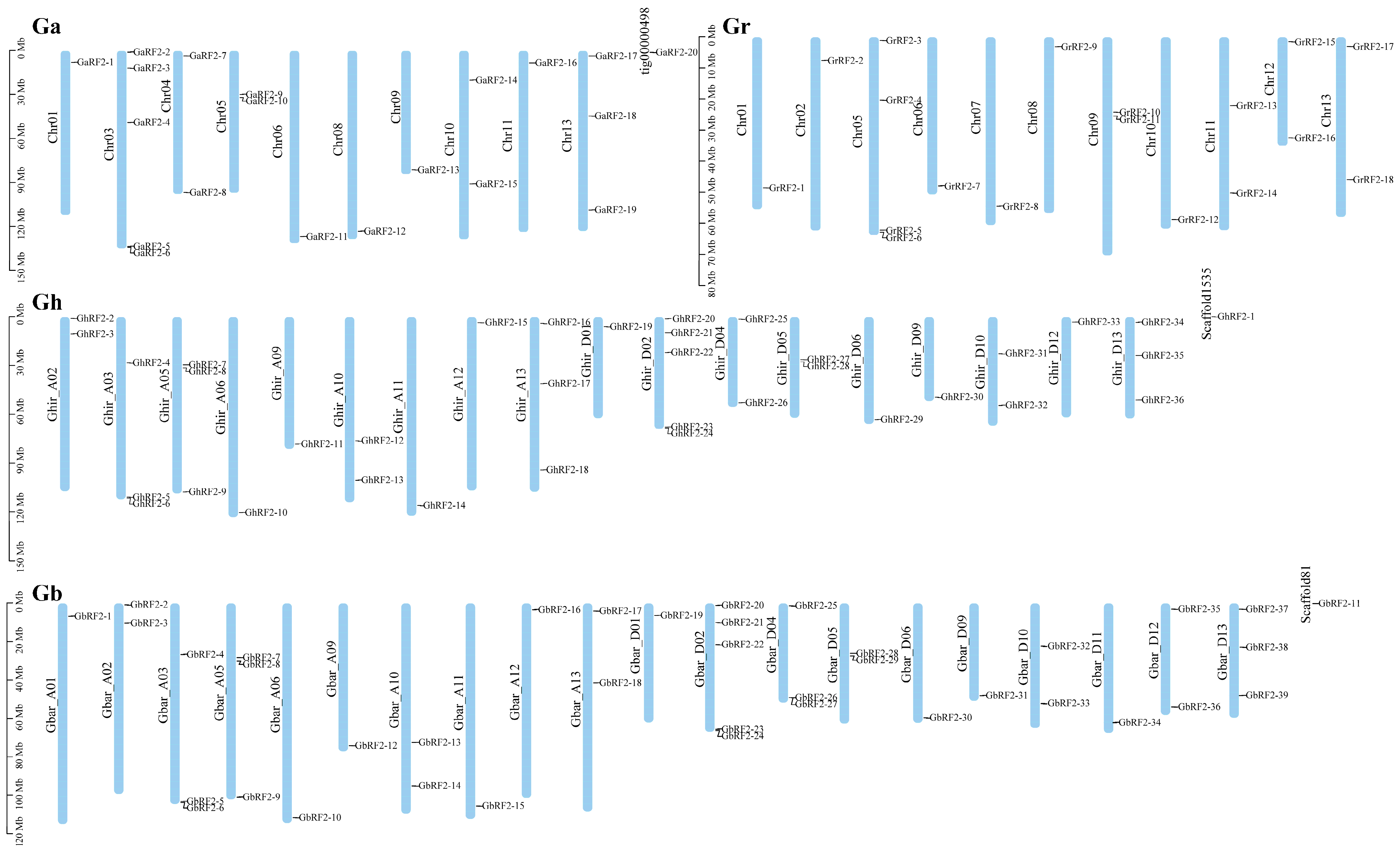 Plants 12 02613 g003