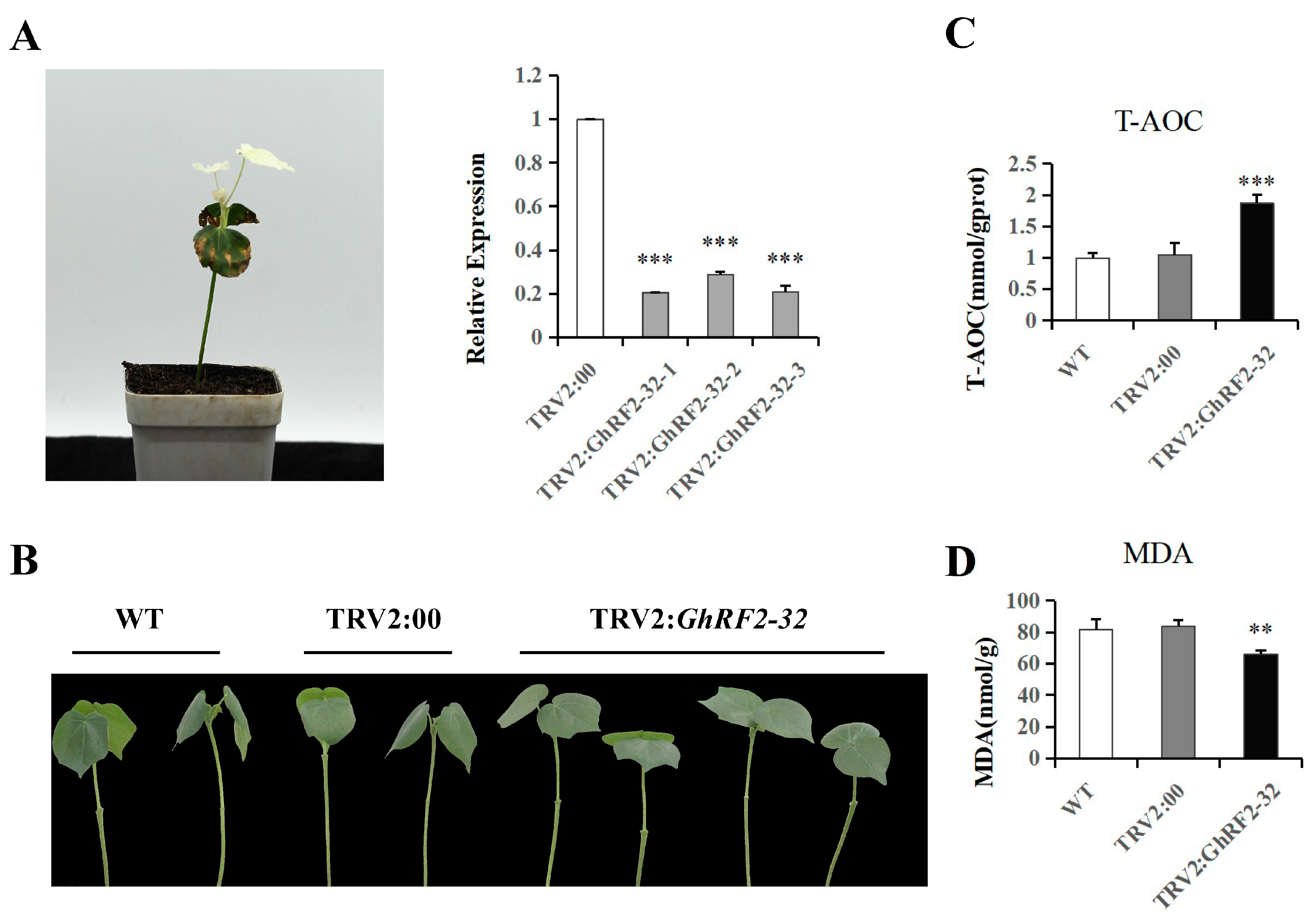 Plants 12 02613 g009
