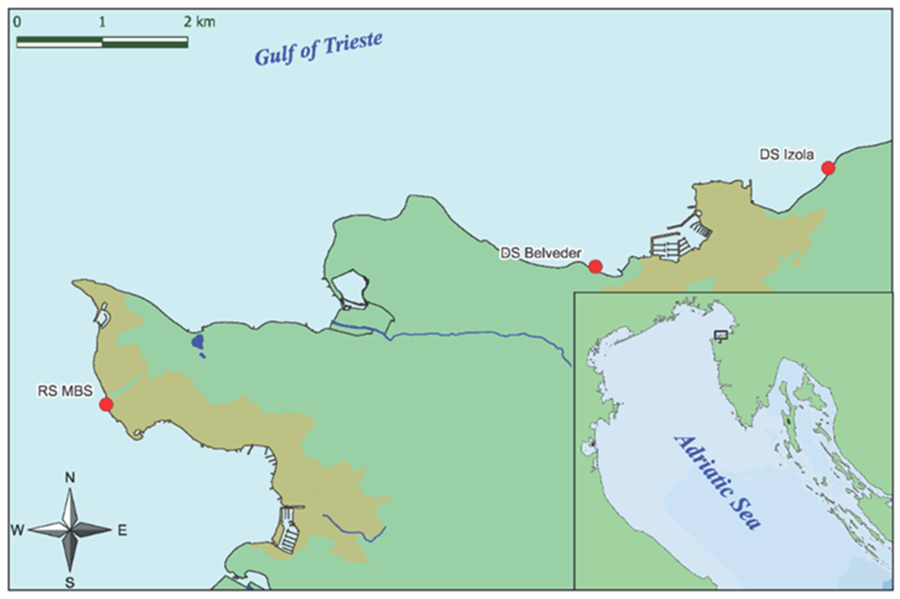 Plants 12 02615 g001