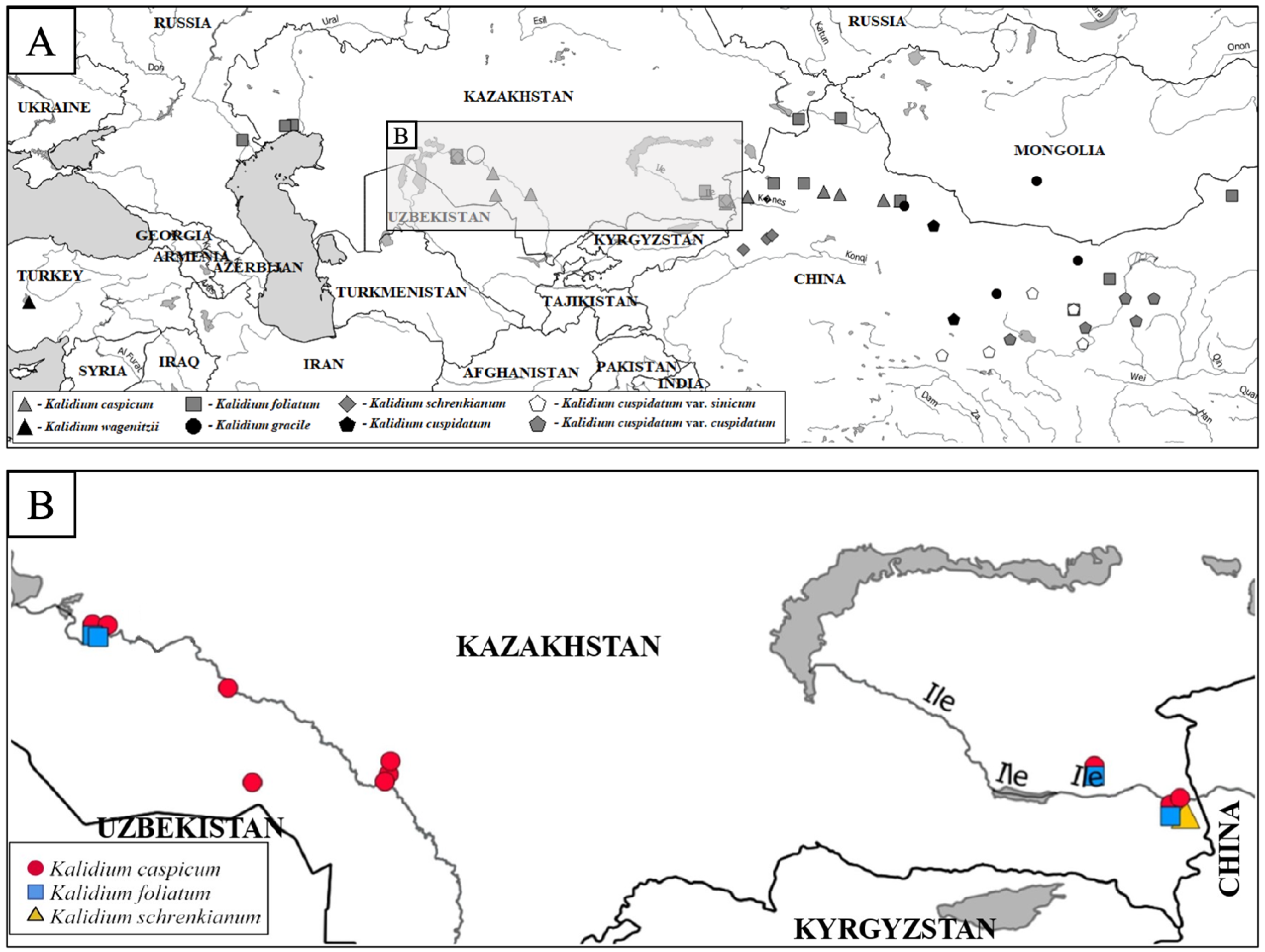 Plants 12 02619 g001