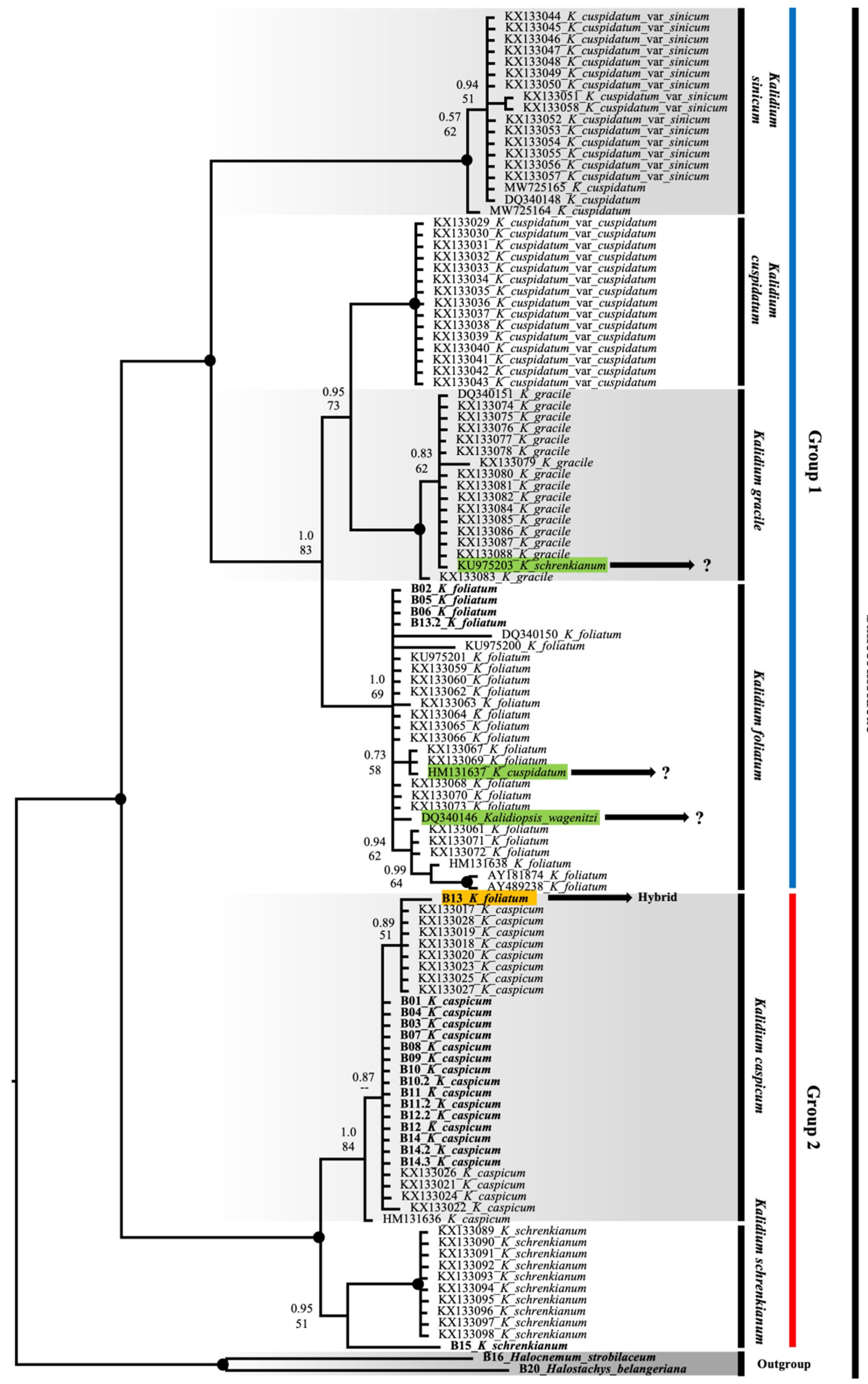 Plants 12 02619 g003