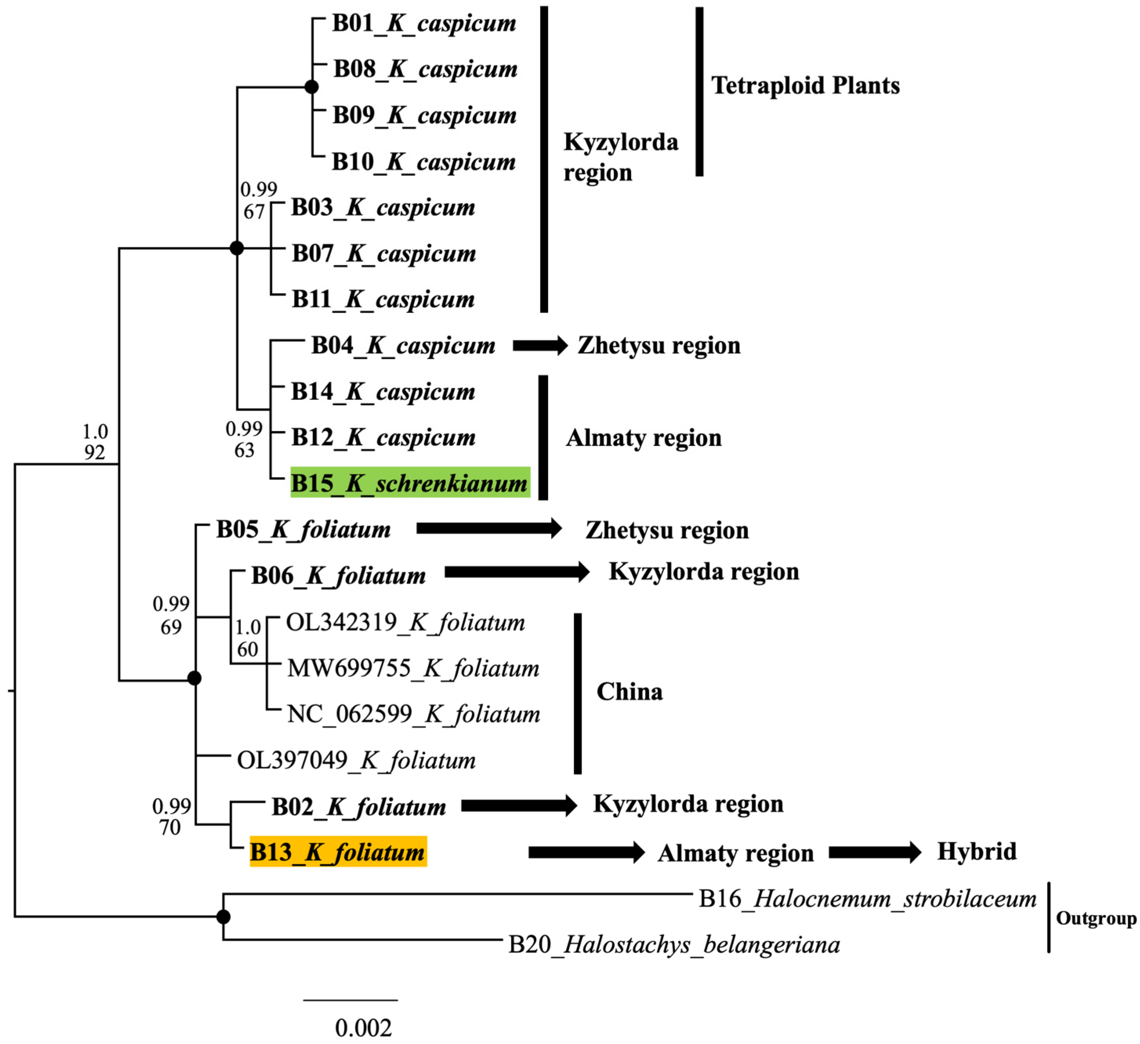 Plants 12 02619 g004