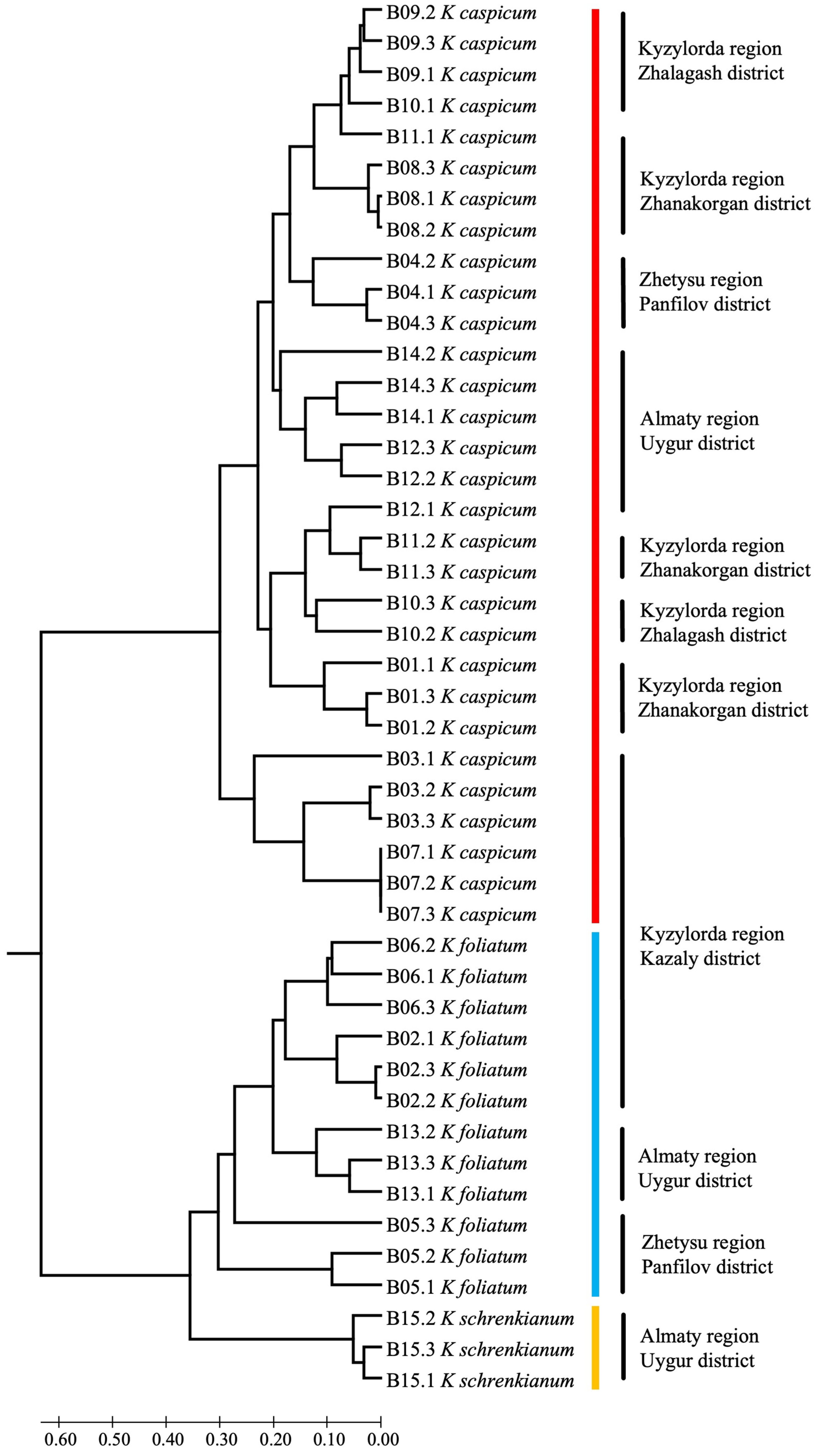 Plants 12 02619 g005