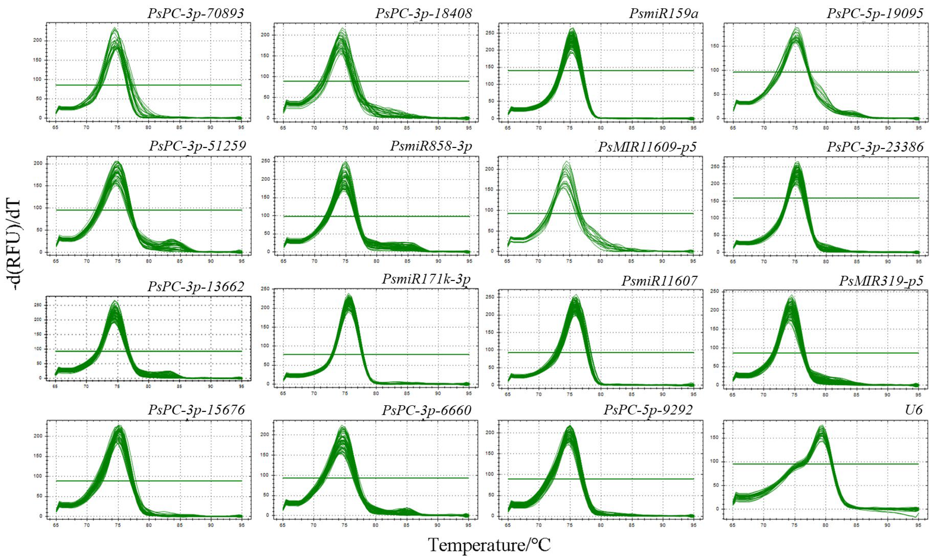 Plants 12 02629 g001