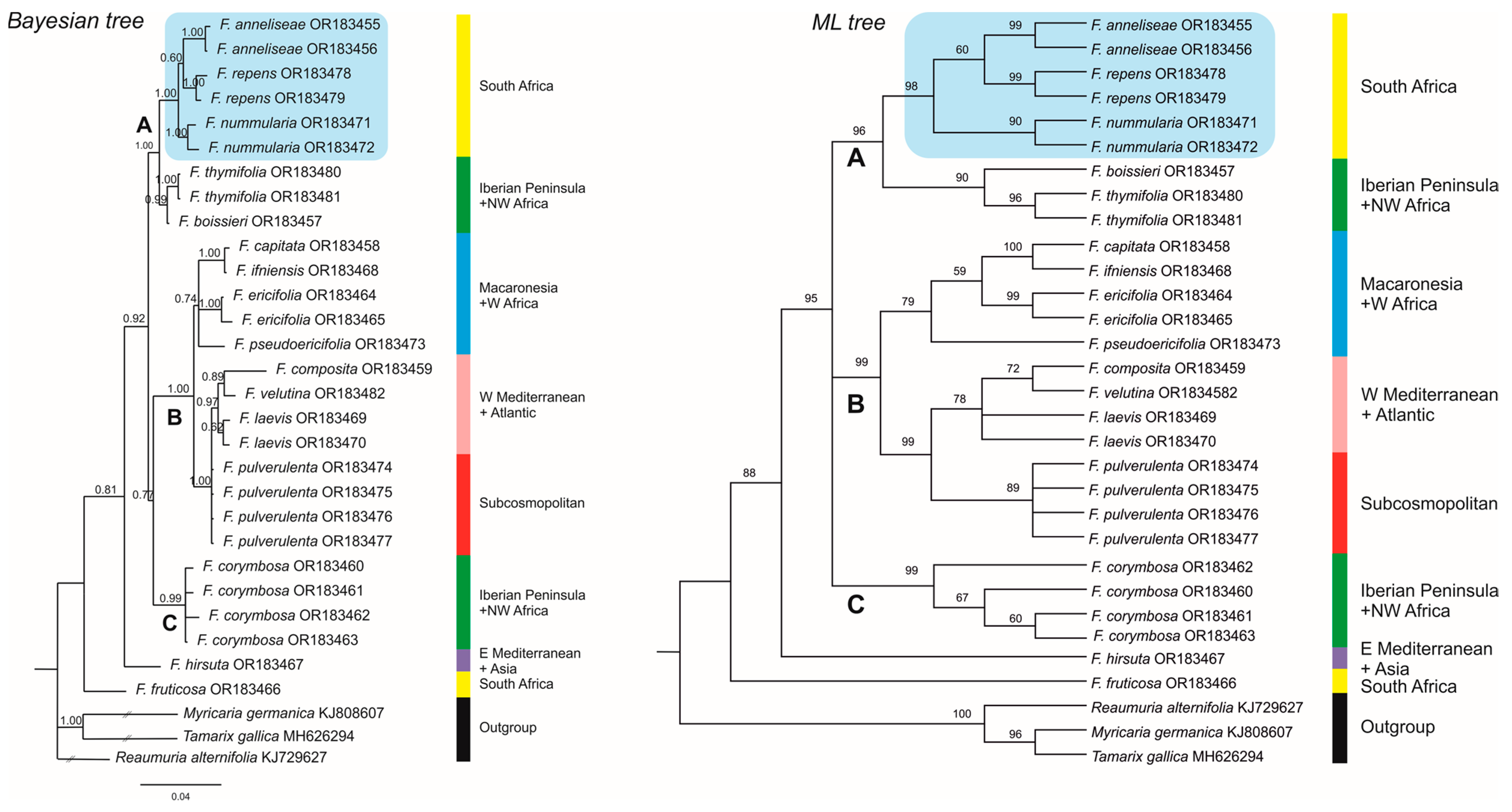 Plants 12 02630 g002