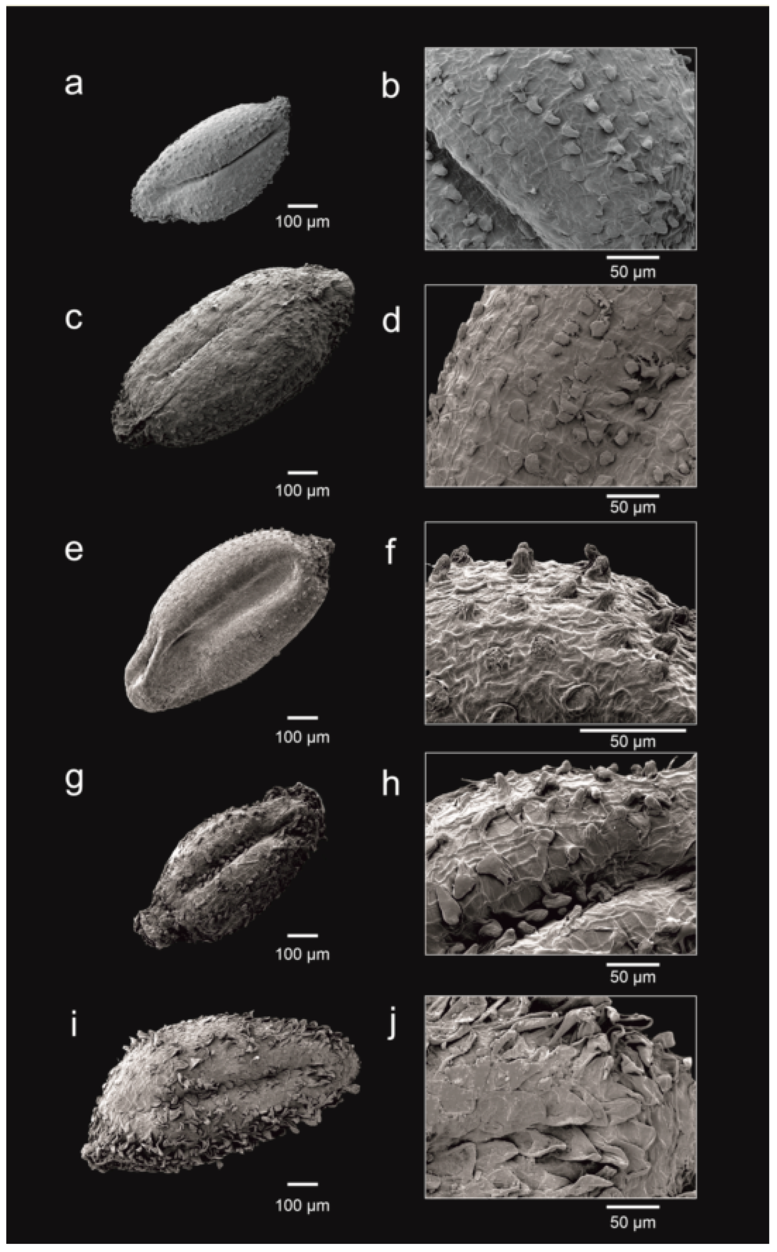 Plants 12 02630 g003