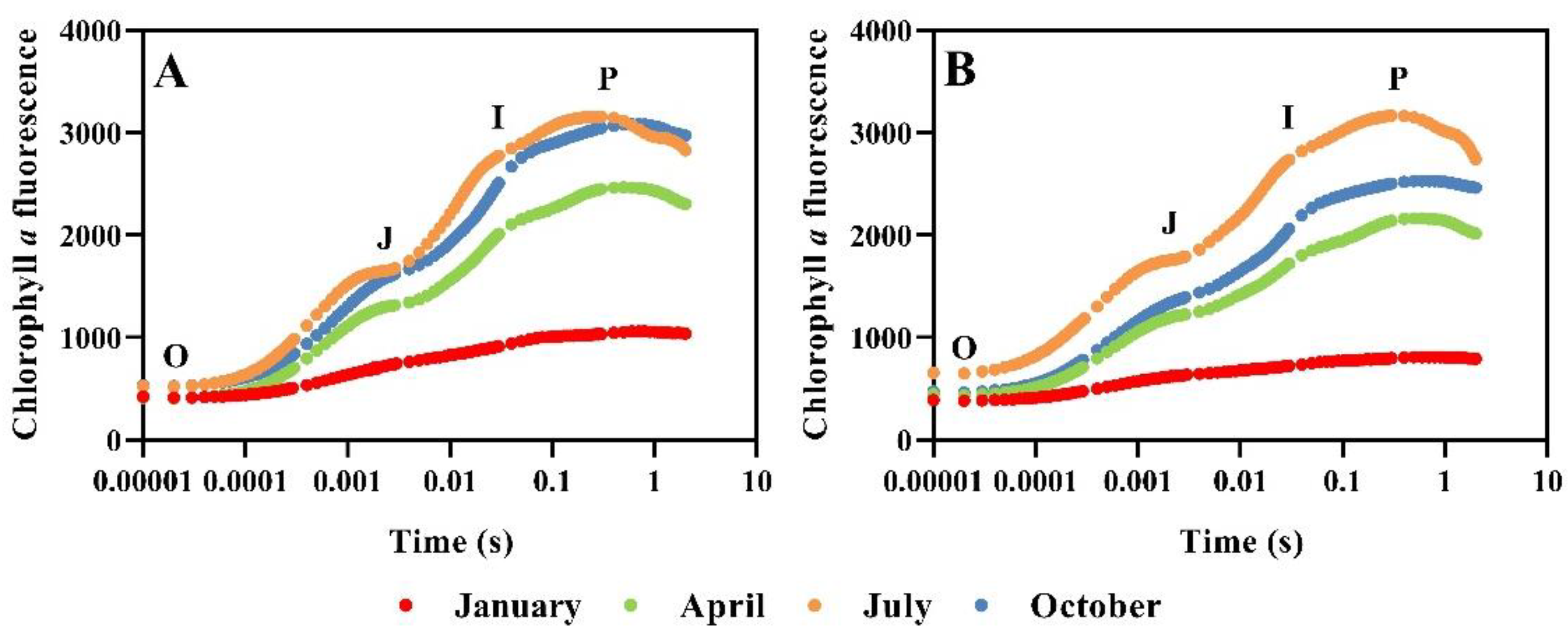 Plants 12 02636 g002