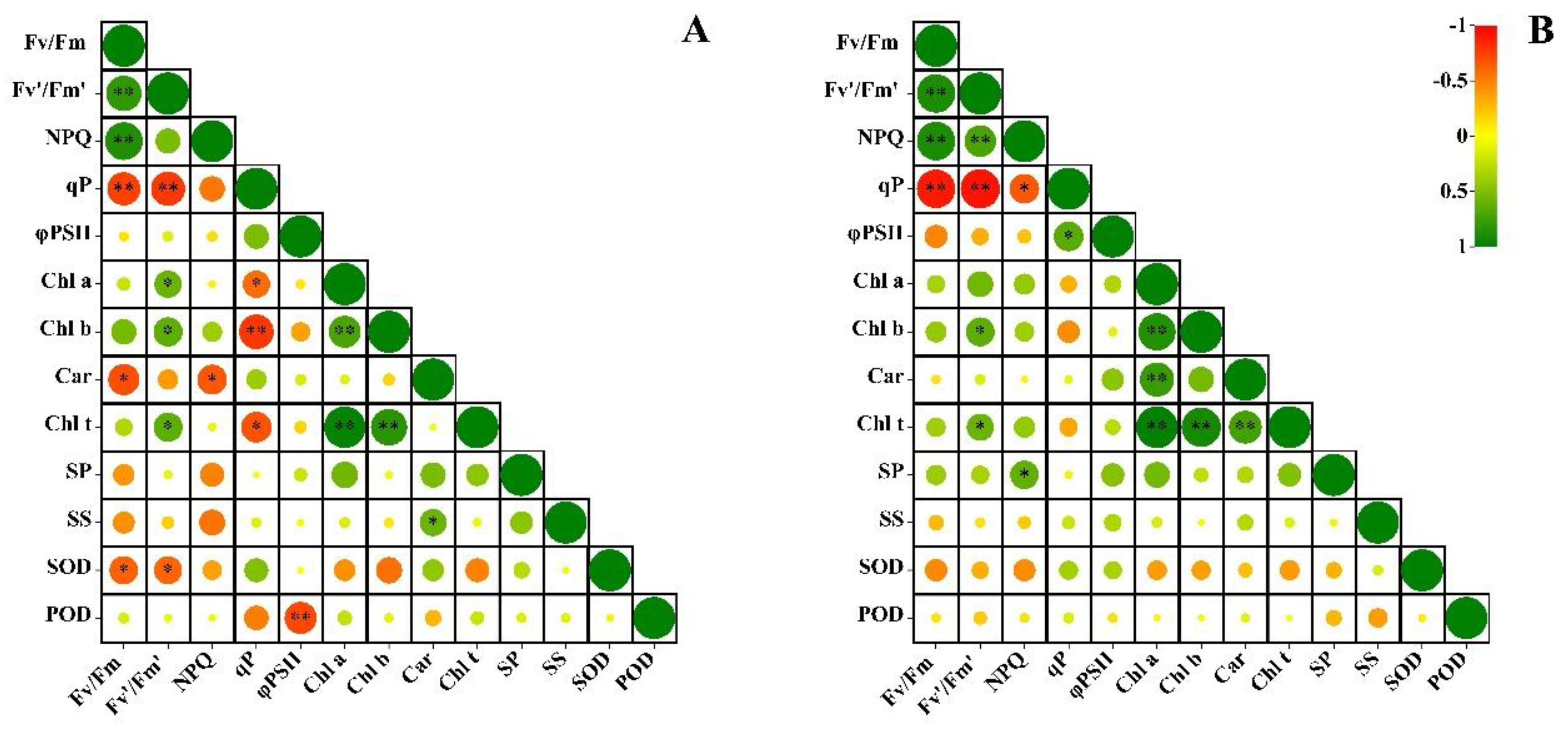 Plants 12 02636 g007
