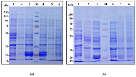 Plants 12 02637 i001