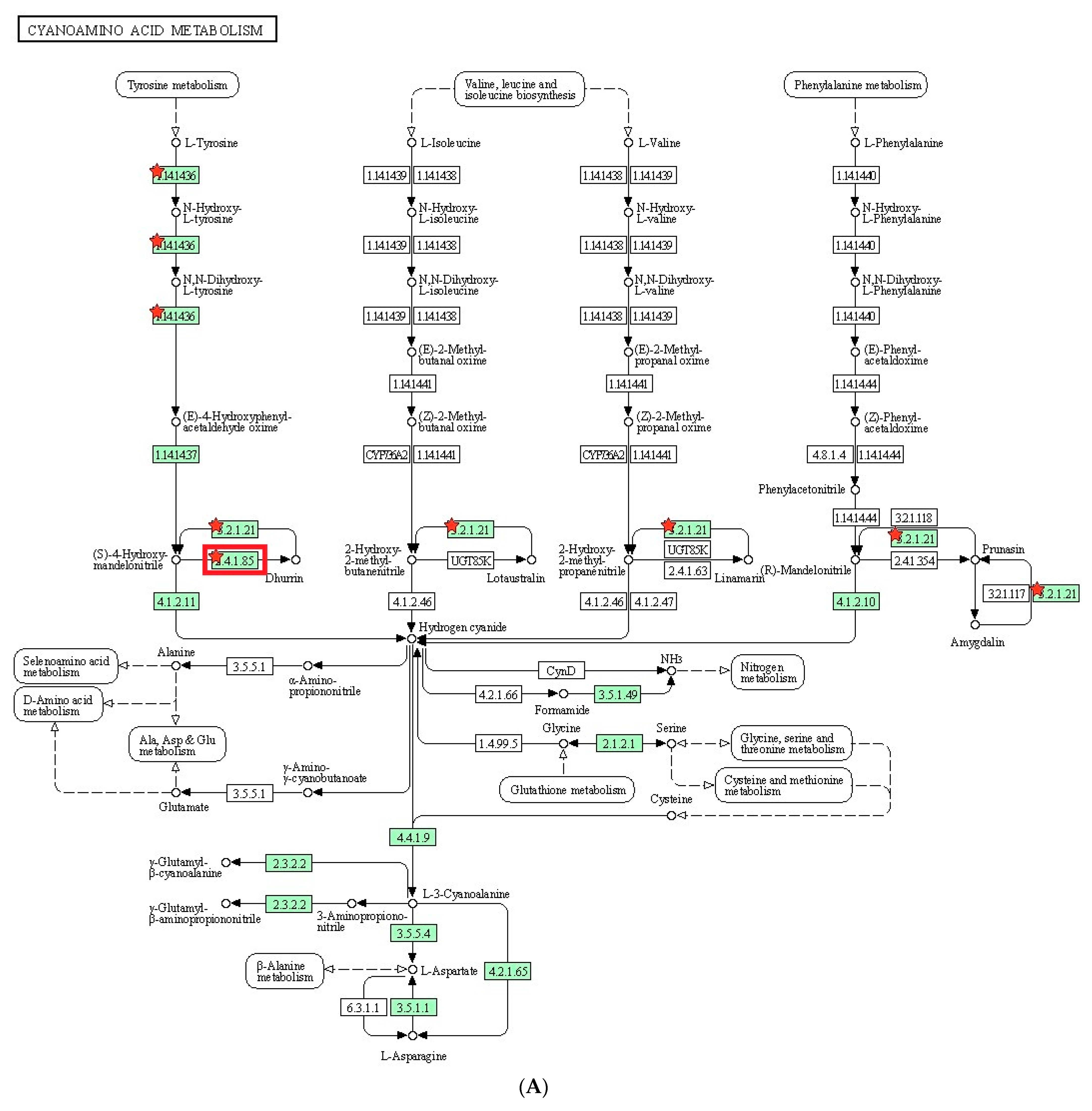 Plants 12 02639 g003a Plants 12 02639 g003a