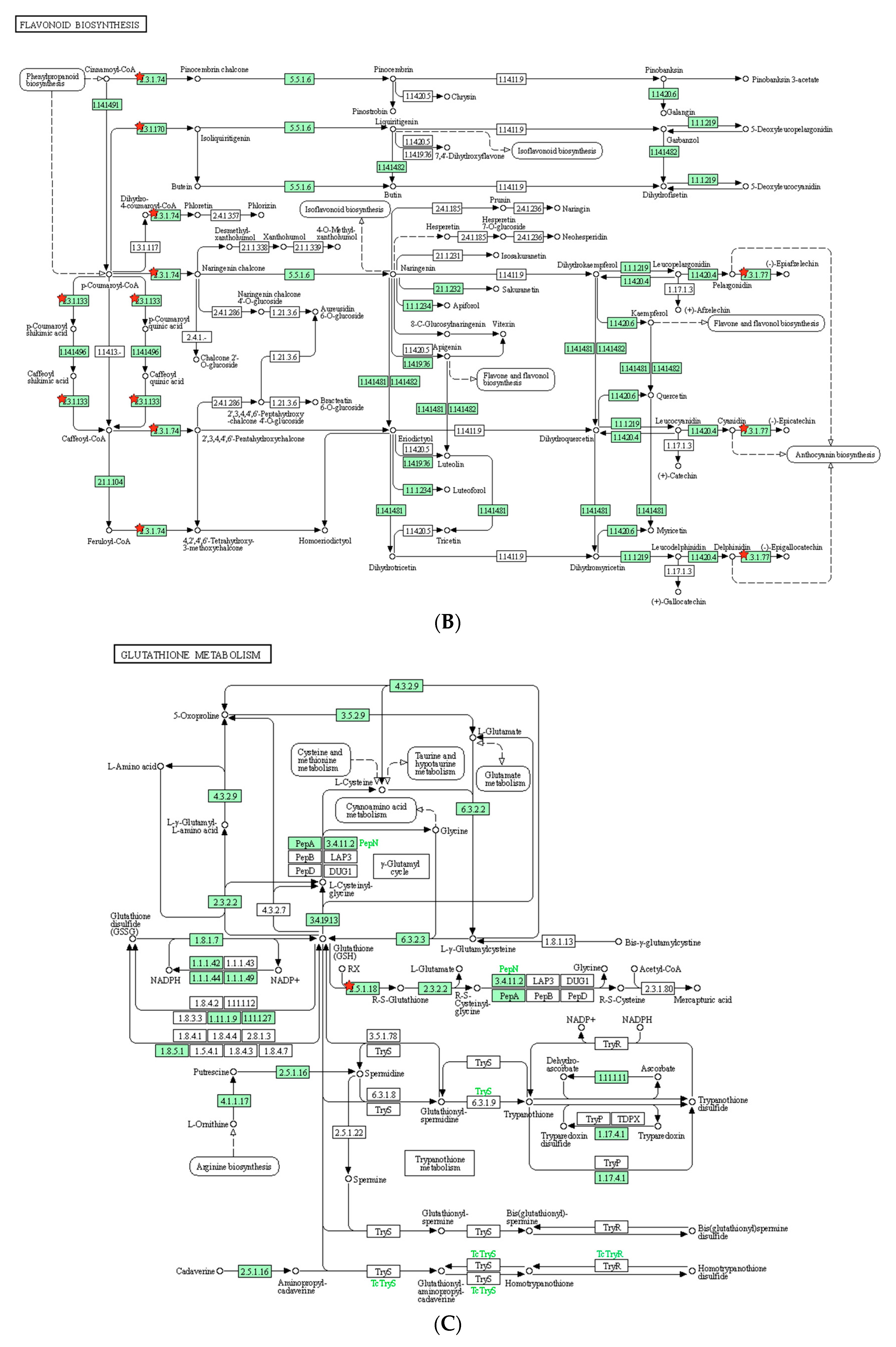 Plants 12 02639 g003b Plants 12 02639 g003b