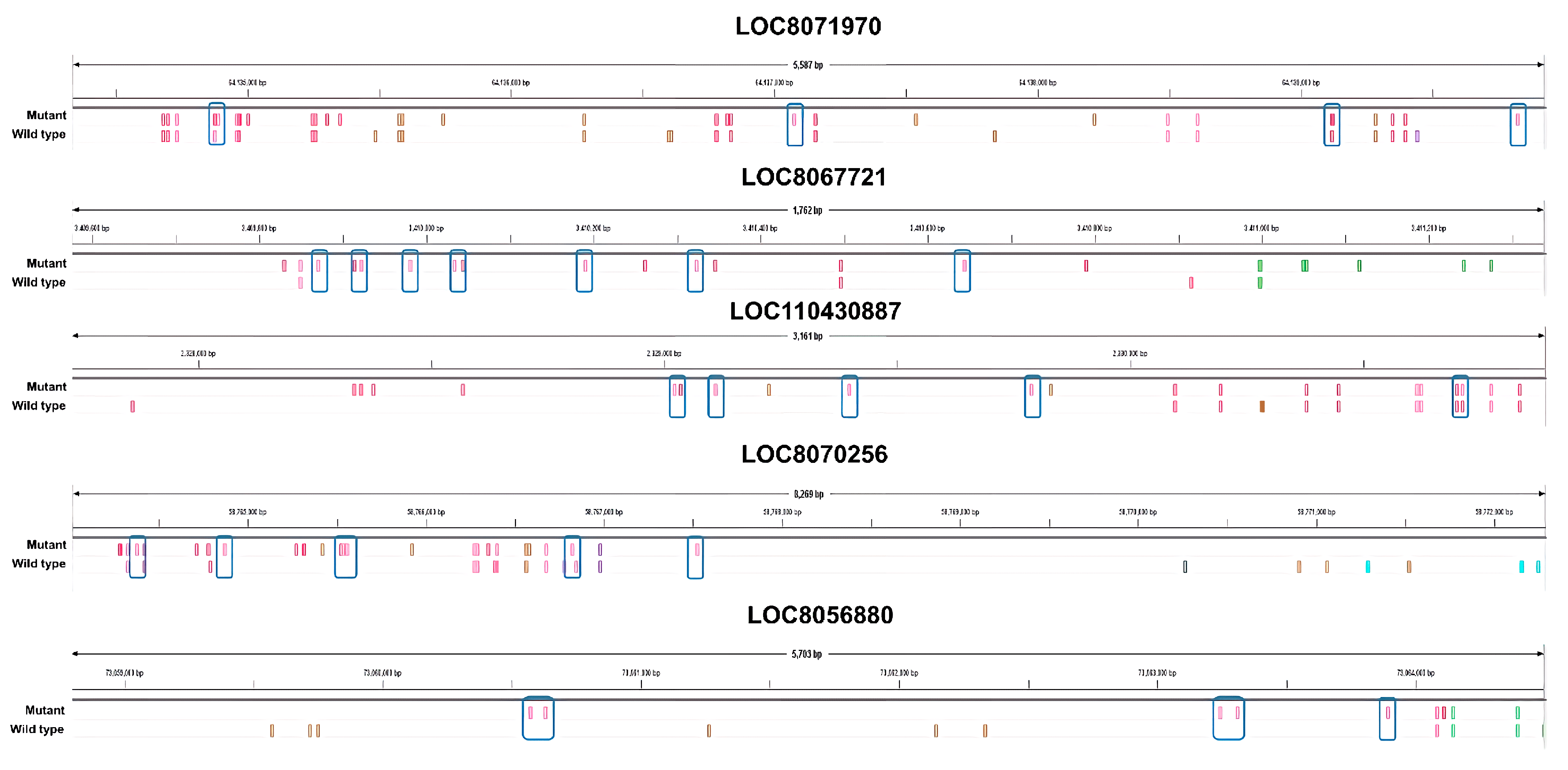 Plants 12 02639 g004 Plants 12 02639 g004