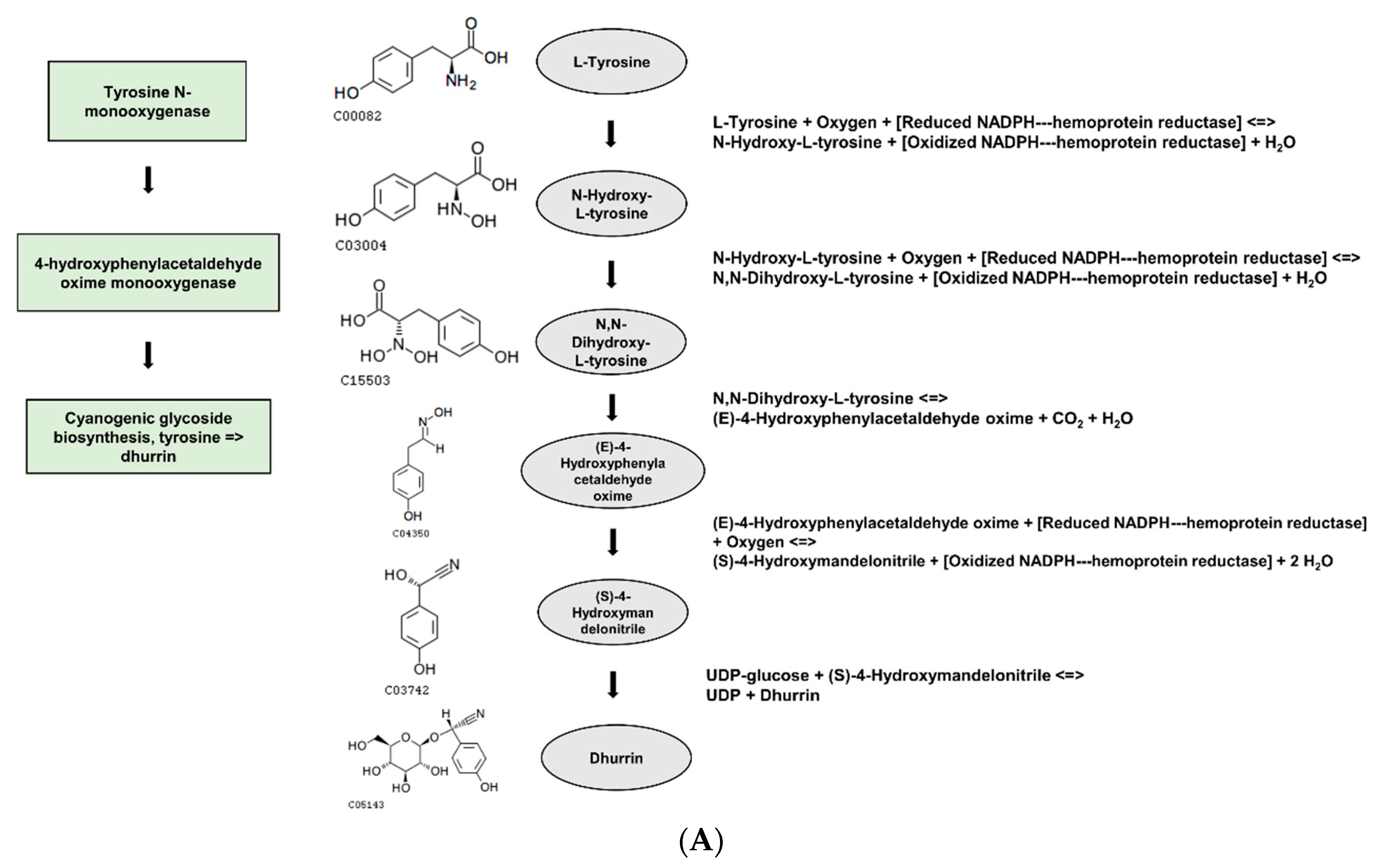 Plants 12 02639 g005a Plants 12 02639 g005a