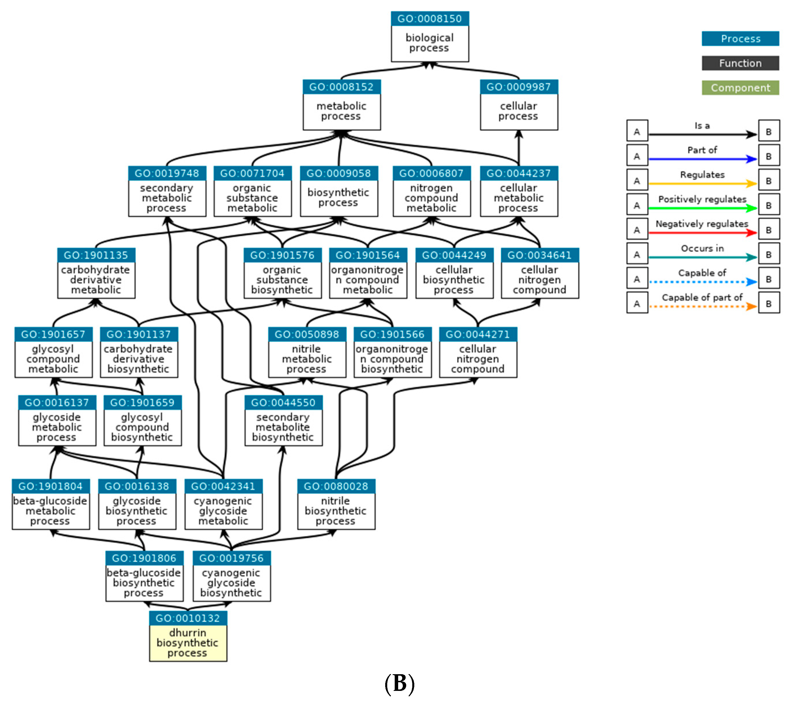 Plants 12 02639 g005b Plants 12 02639 g005b