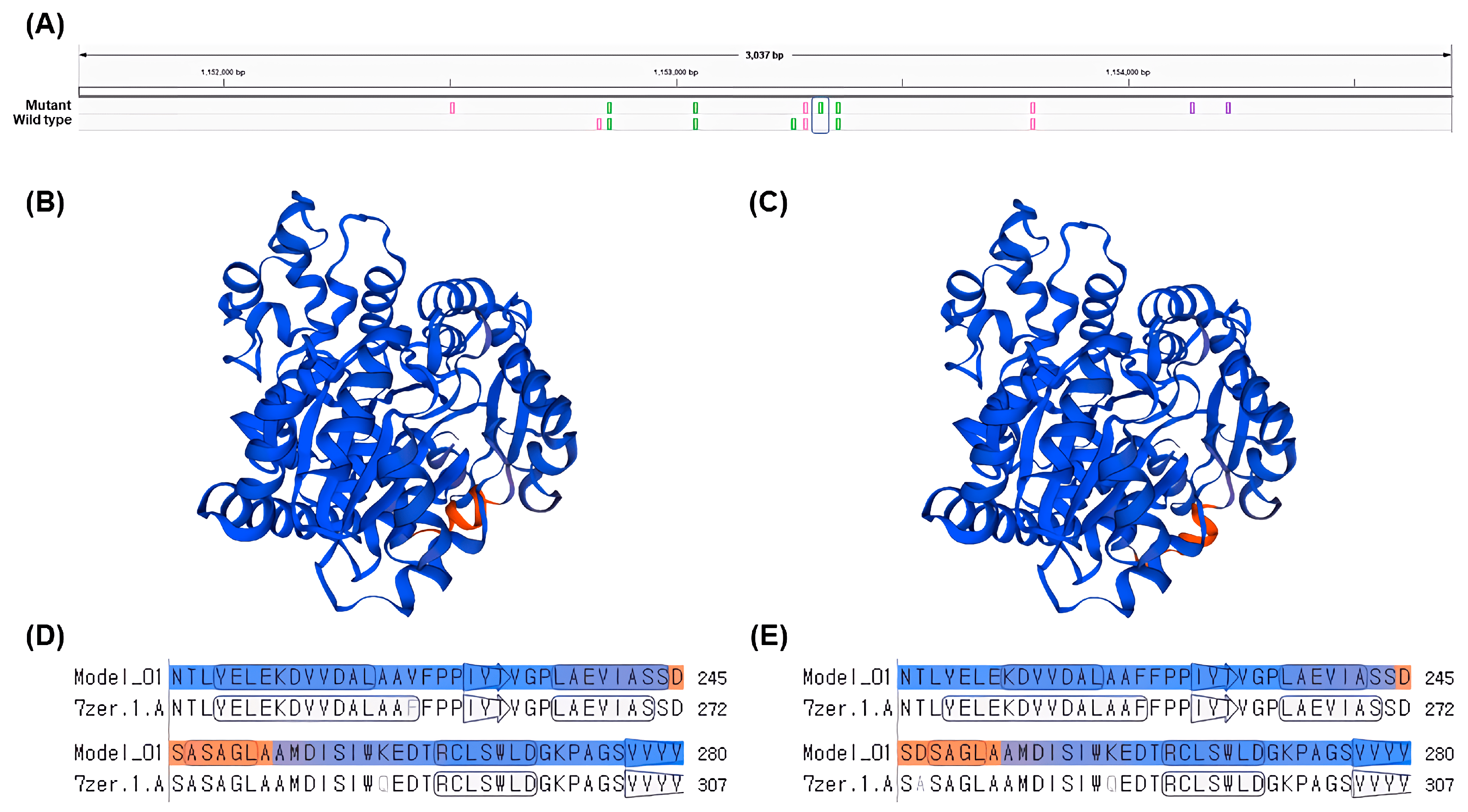 Plants 12 02639 g006 Plants 12 02639 g006