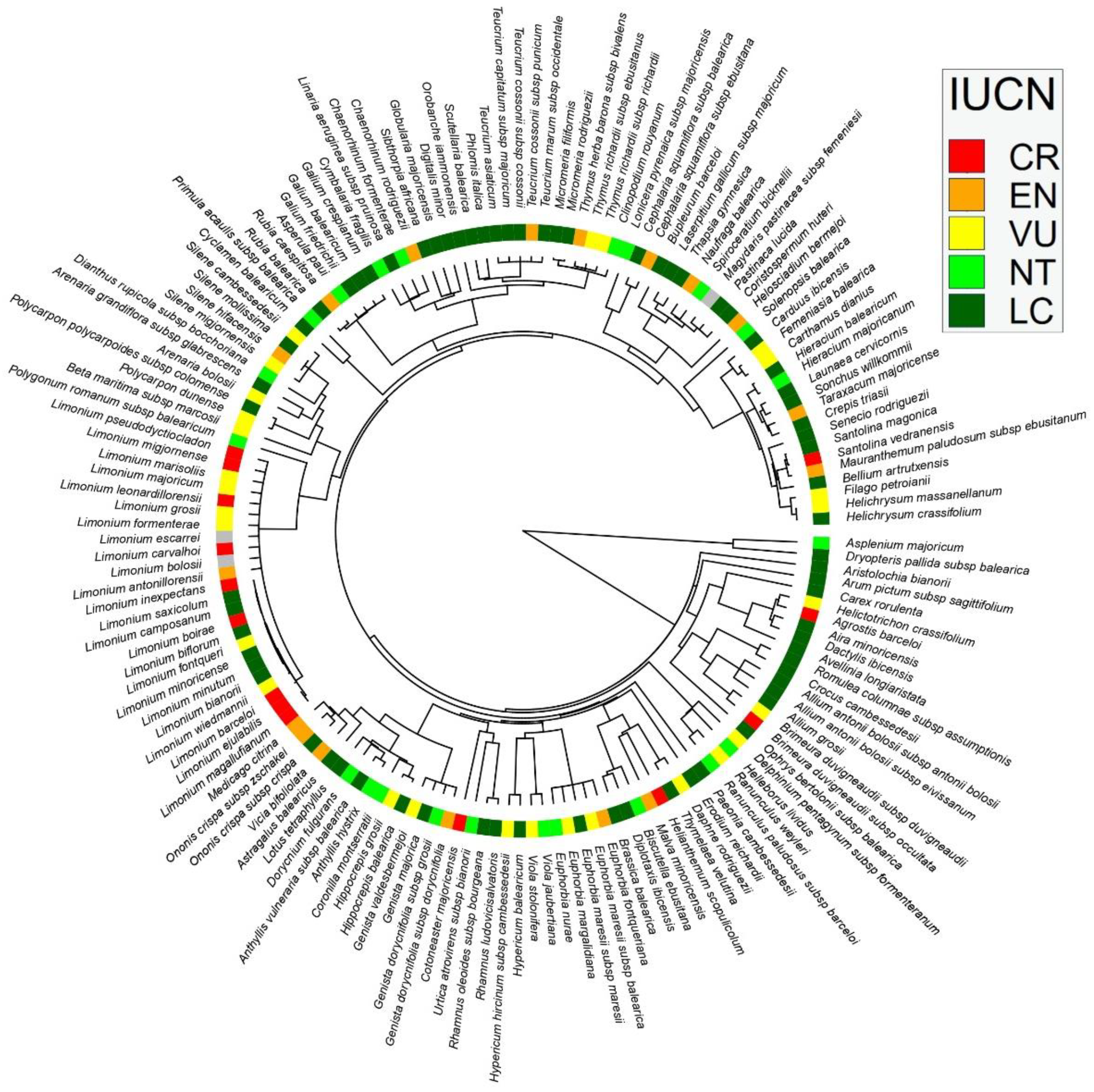 Plants 12 02640 g001
