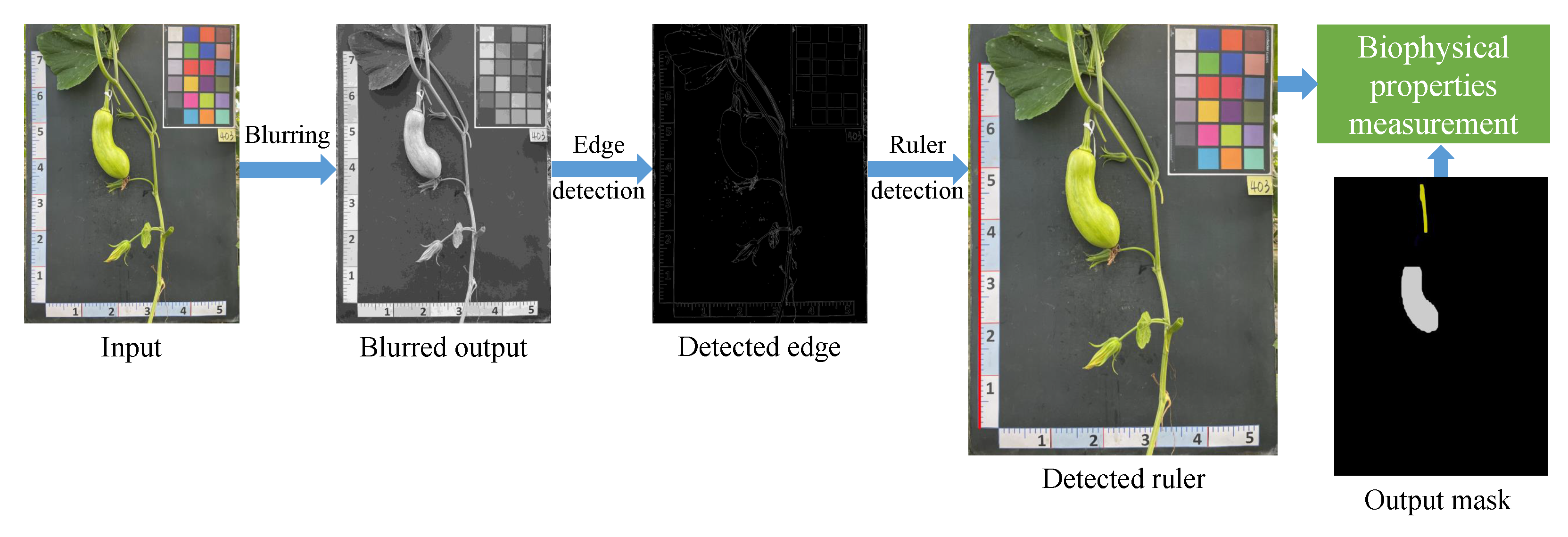 Plants 12 02647 g008