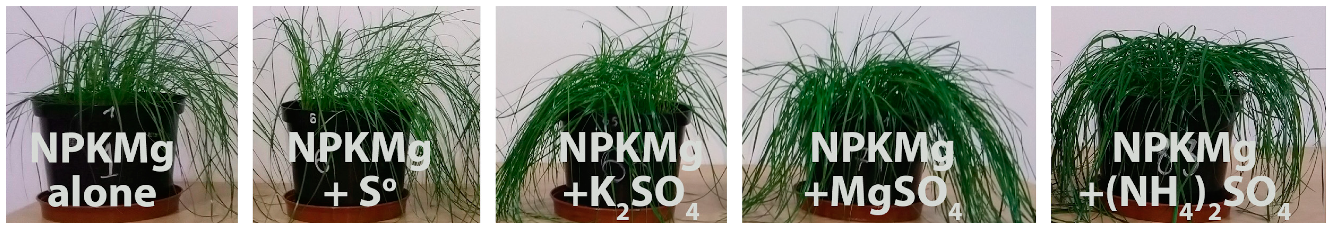 Plants 12 02649 sch001