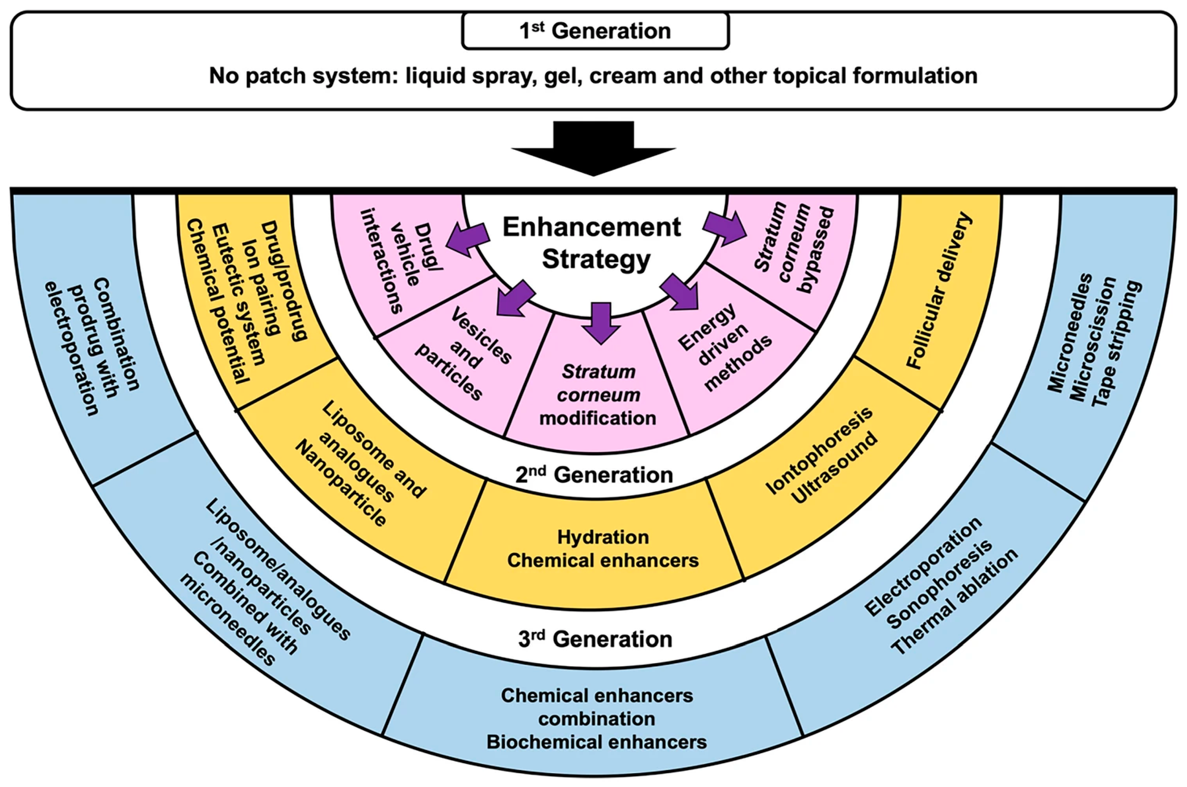 Plants 12 02661 g001