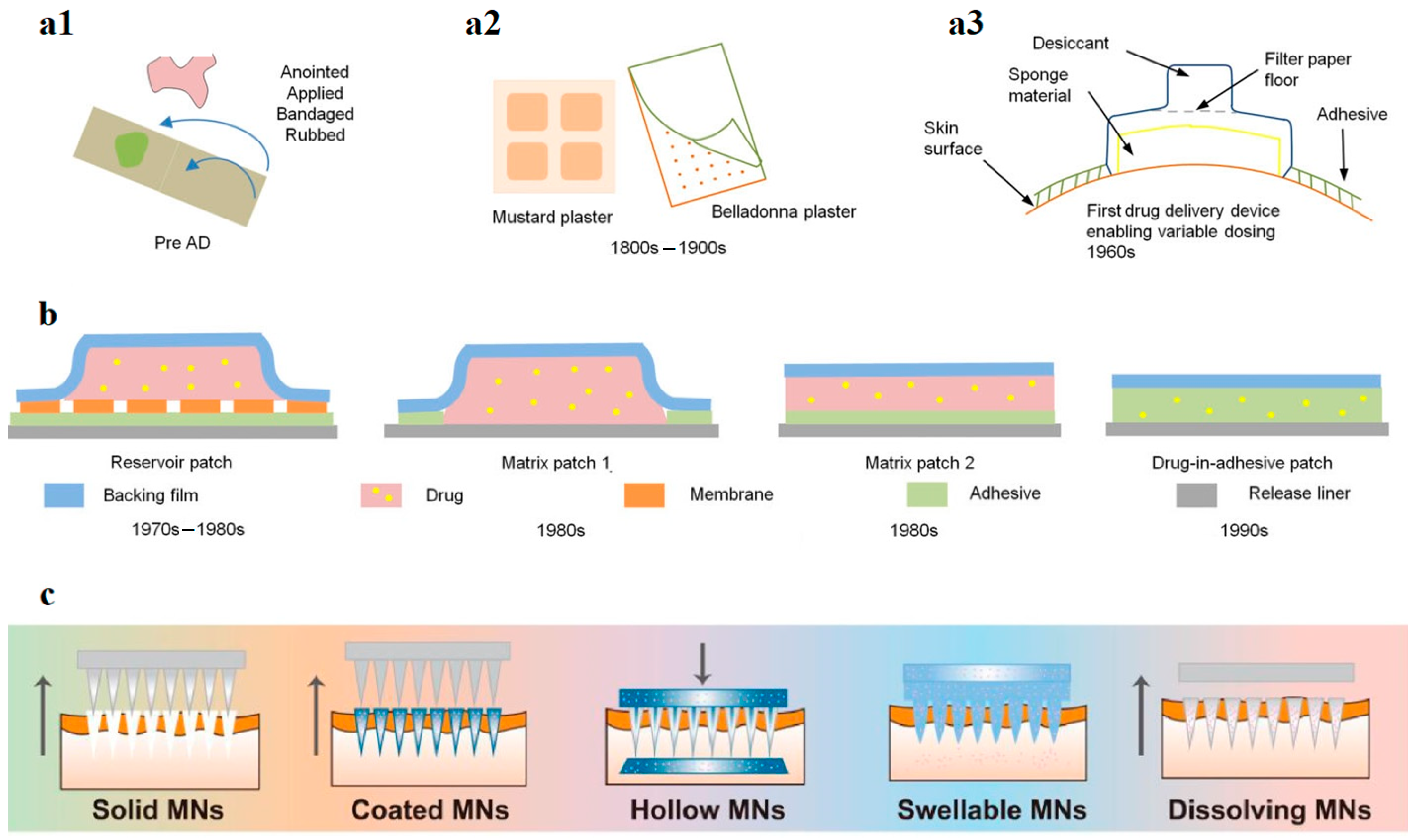 Plants 12 02661 g002