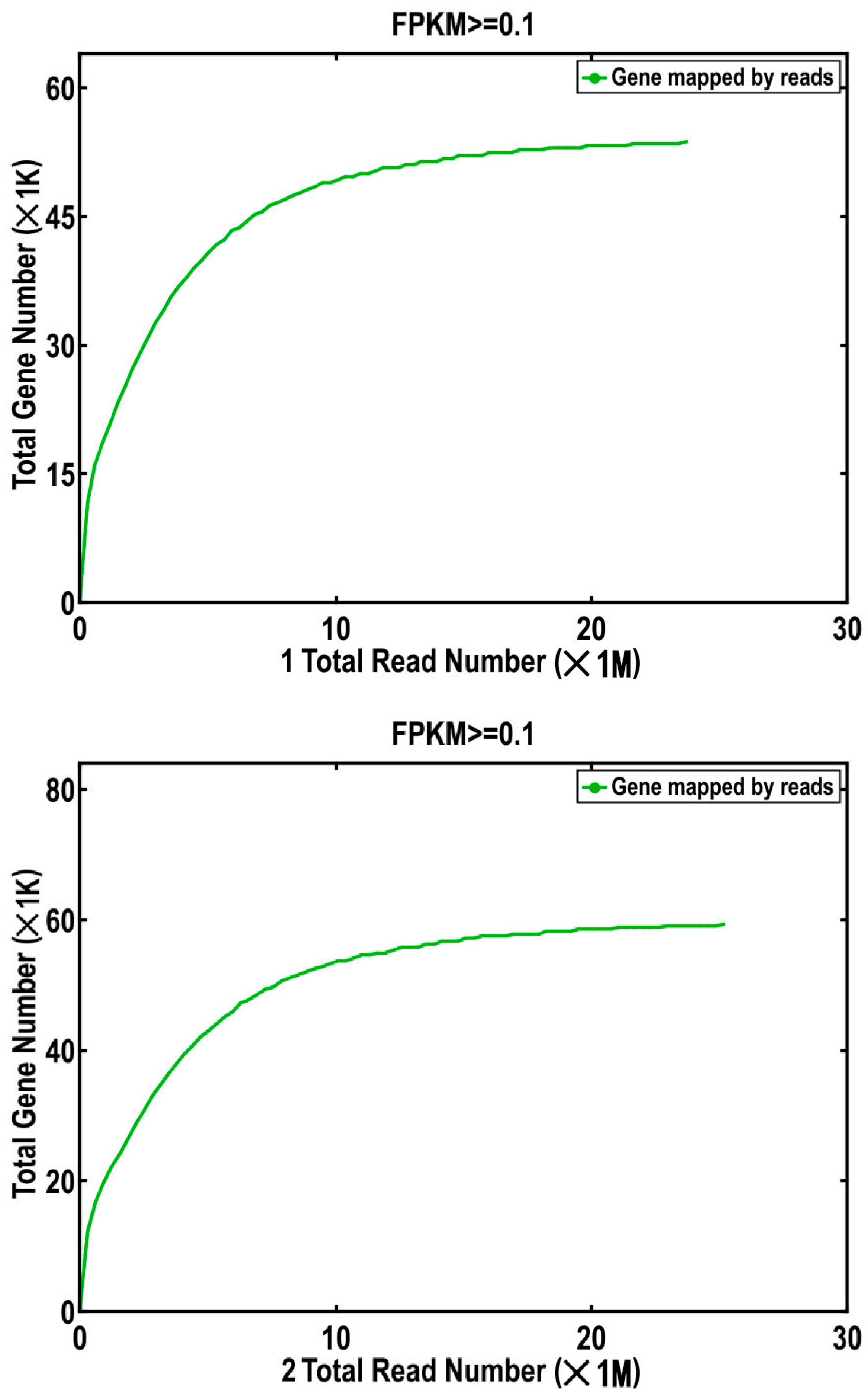 Plants 12 02670 g003