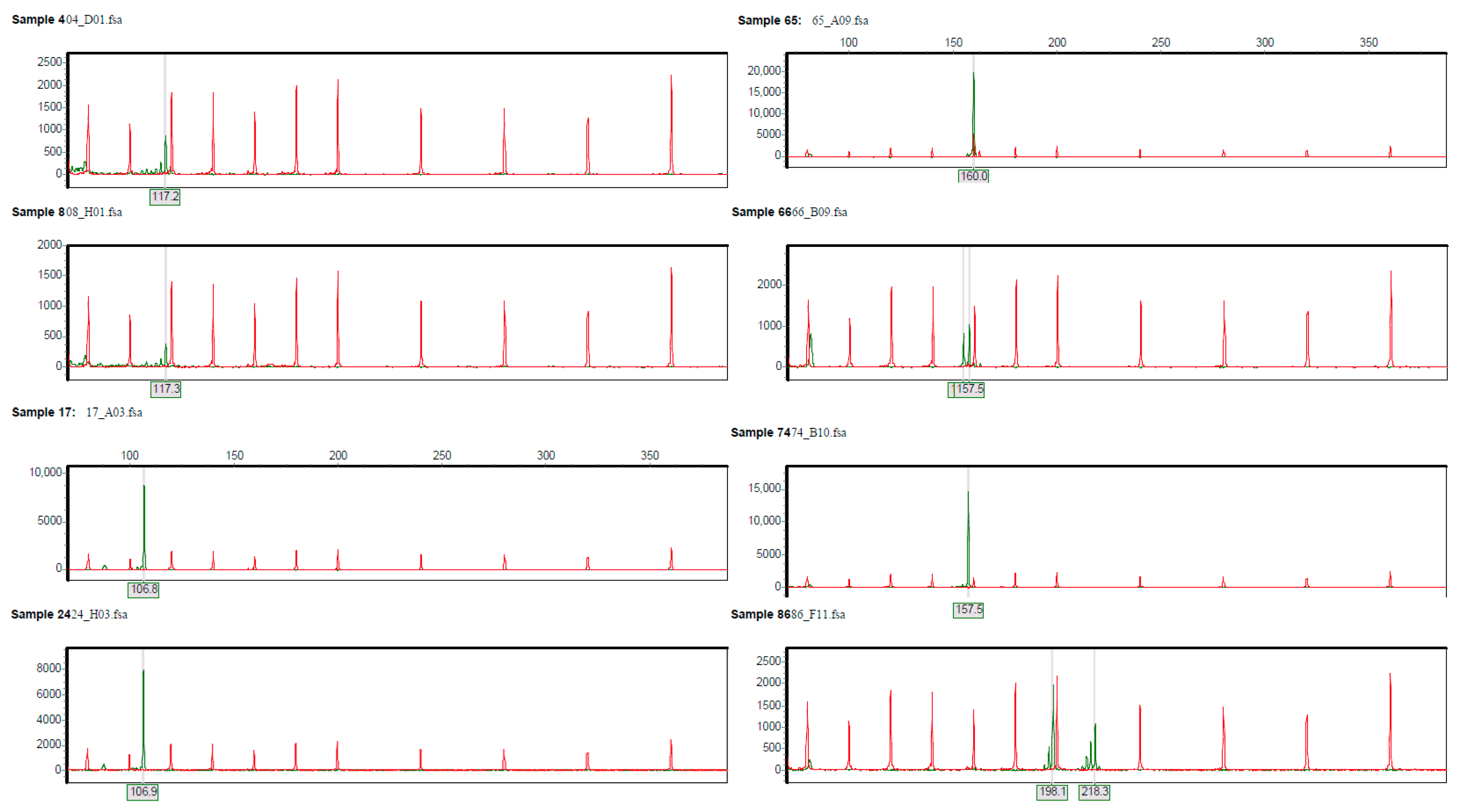 Plants 12 02670 g006